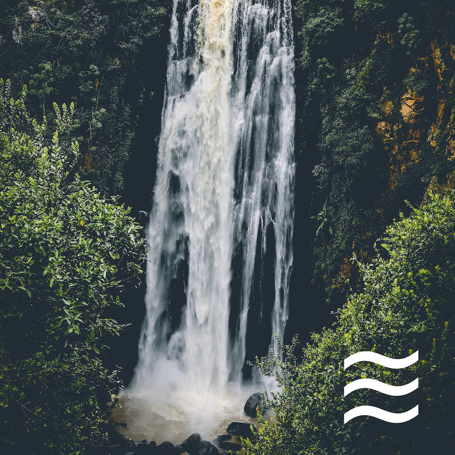 Релиз Infants Relief Forest Soft Shushers