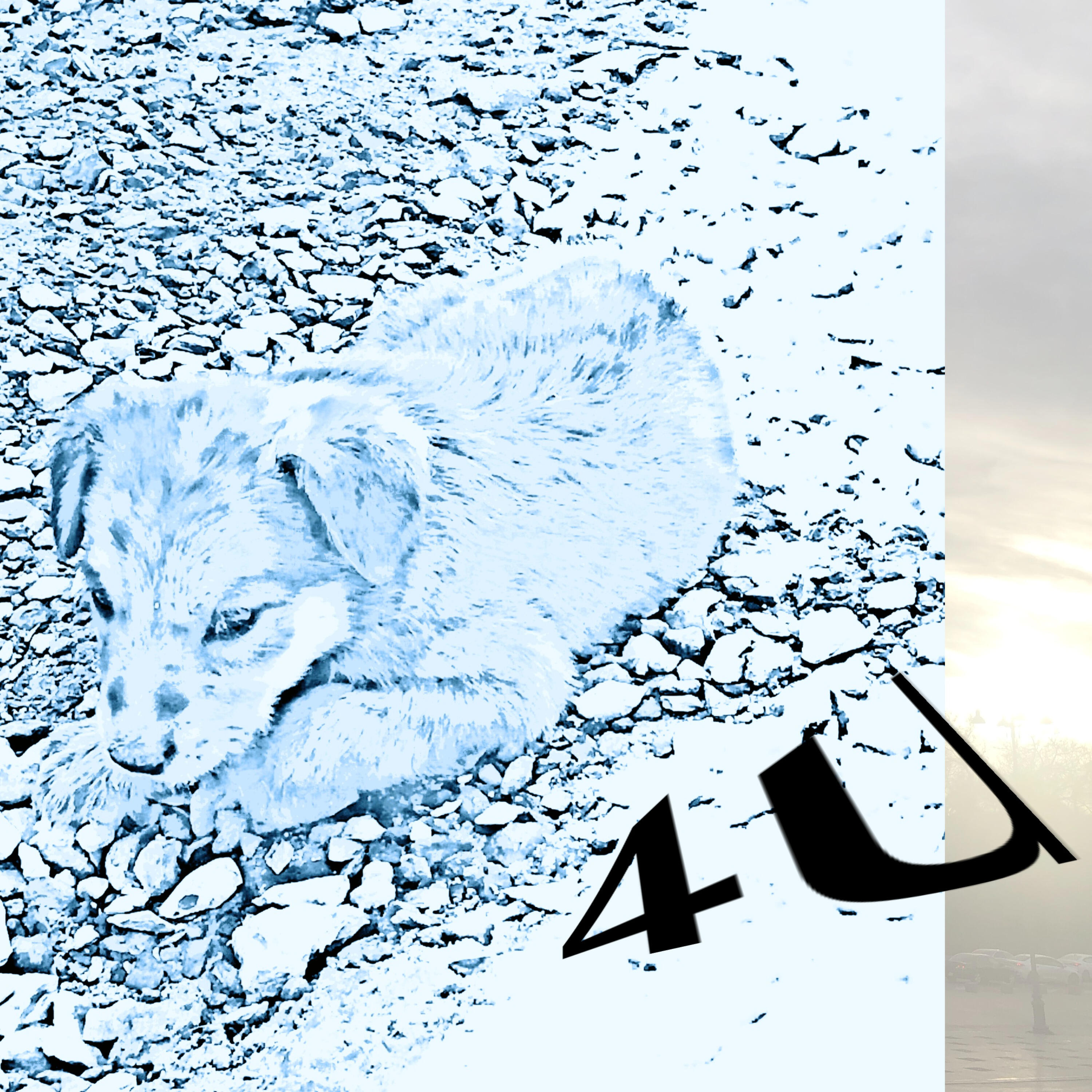 Релиз 4U