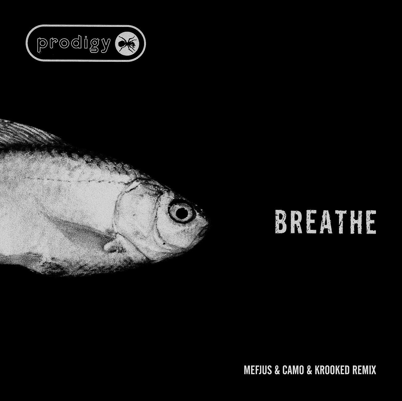 Релиз Breathe