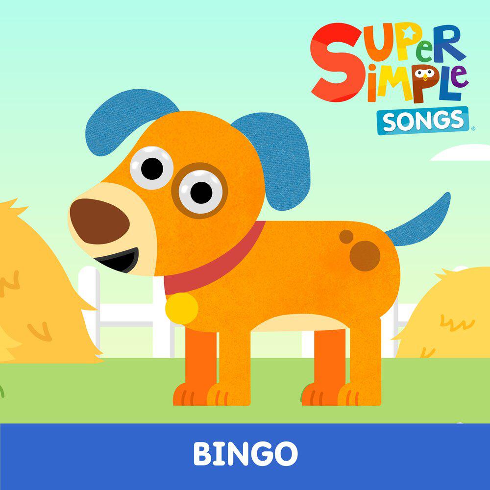 Релиз BINGO