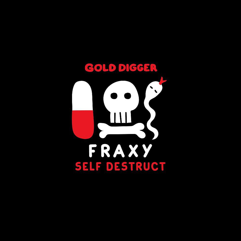 Релиз Self Destruct