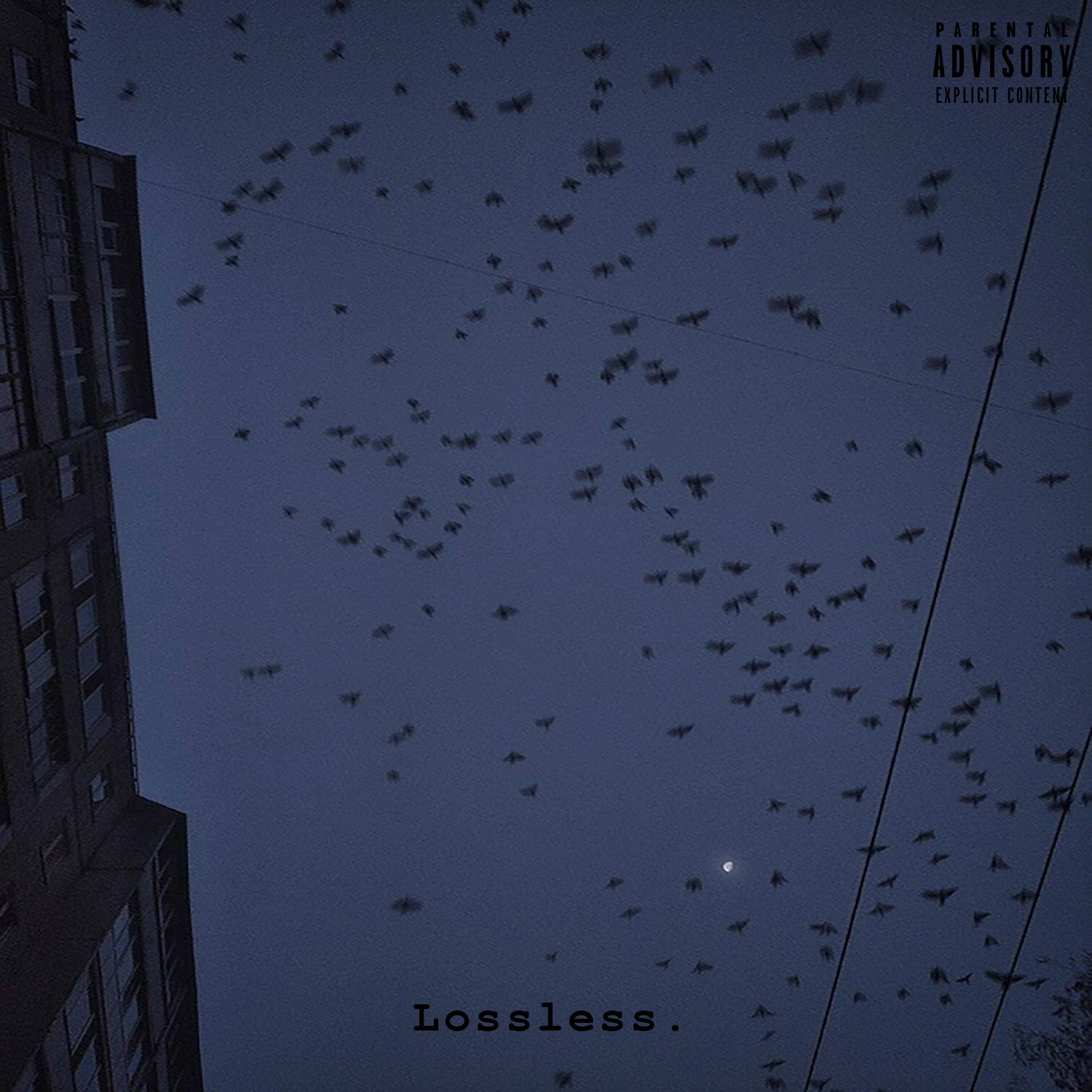 Релиз Lossless
