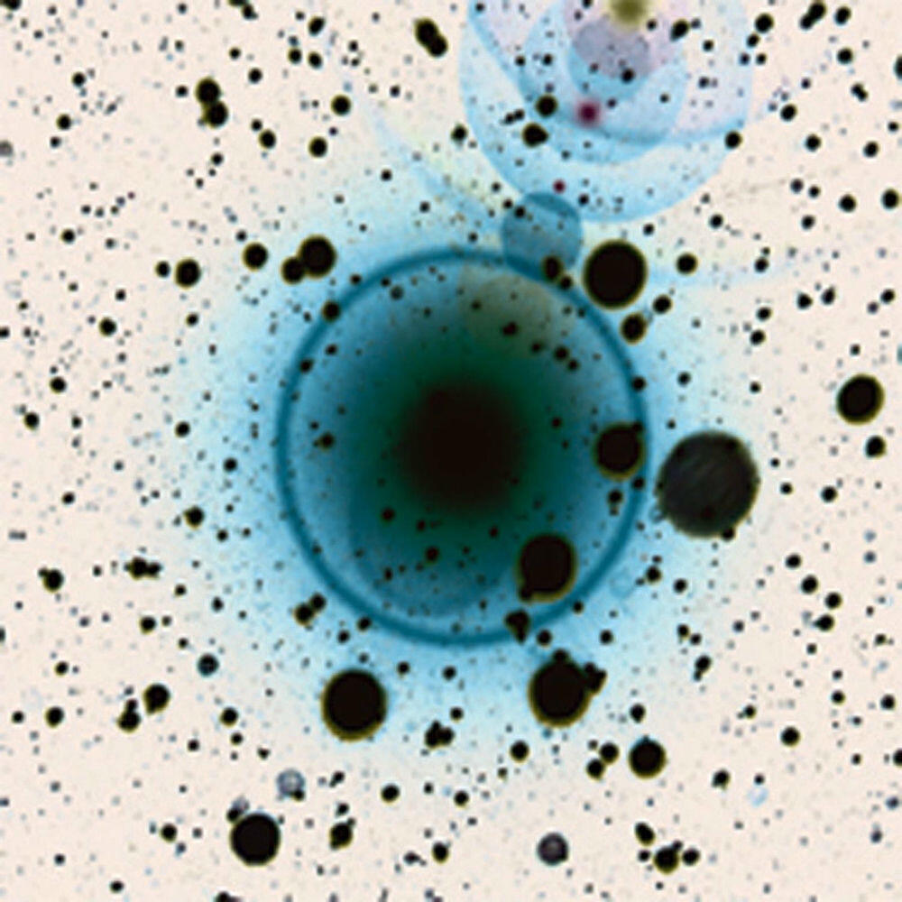 Релиз Simple Science (Radio Edit)