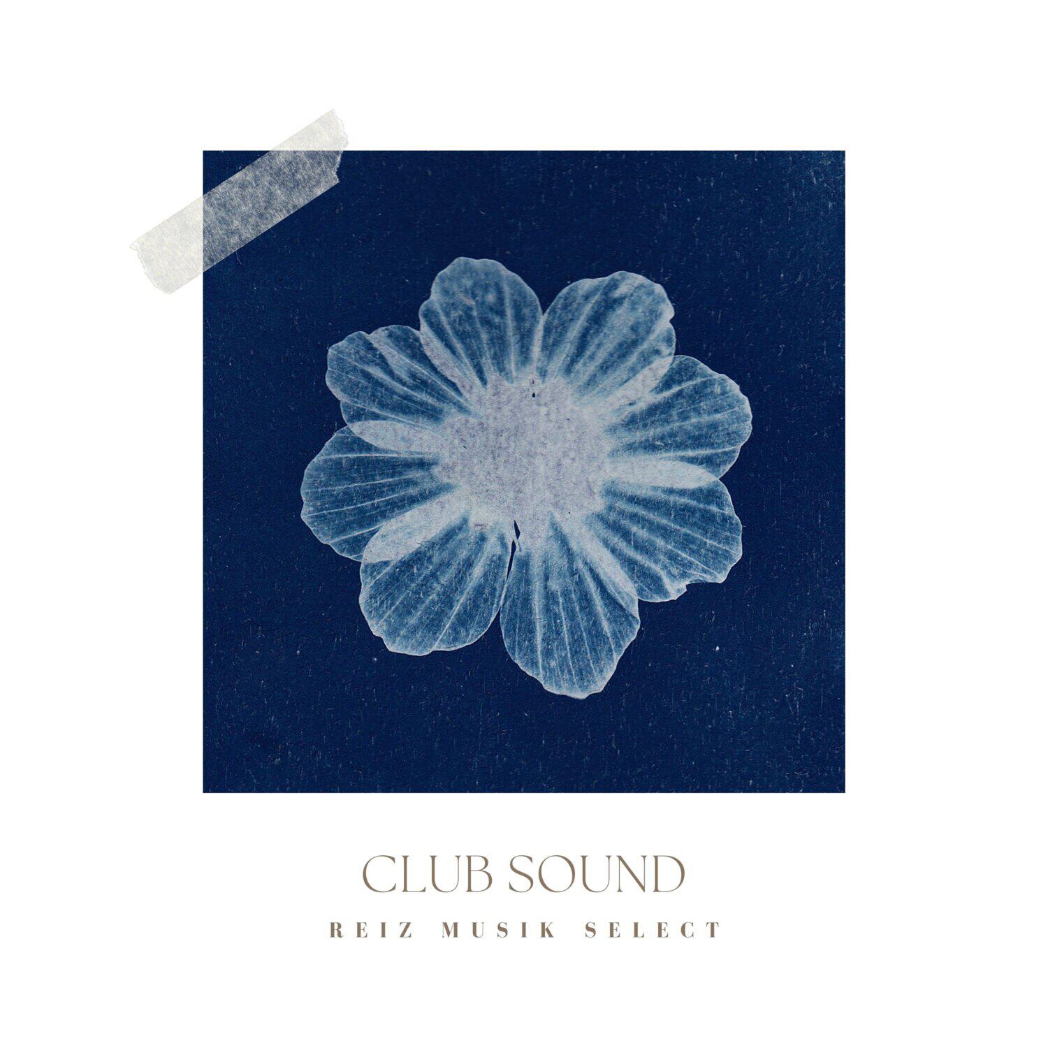 Релиз CLUB SOUND