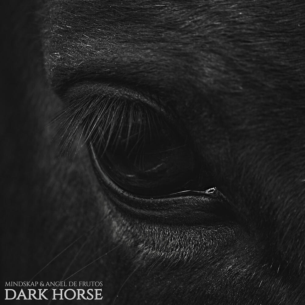 Релиз Dark Horse