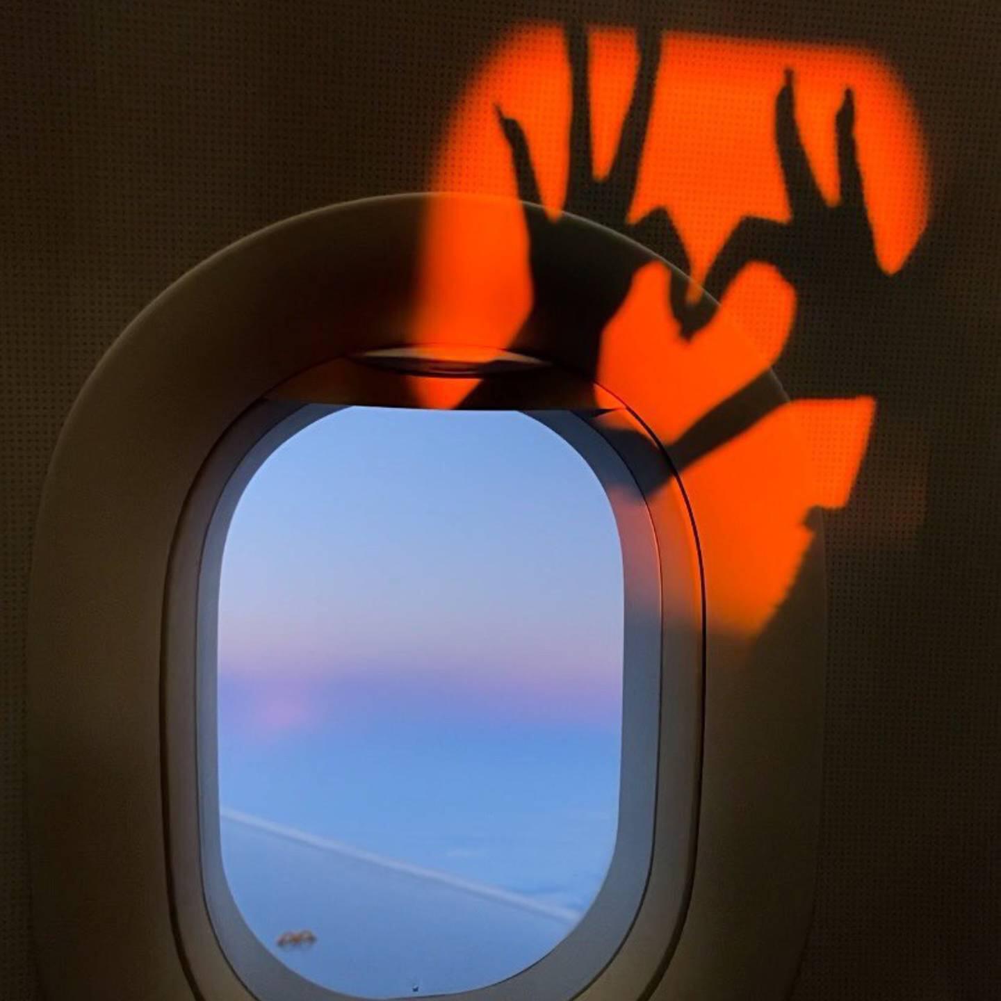Релиз Flight To Vienna