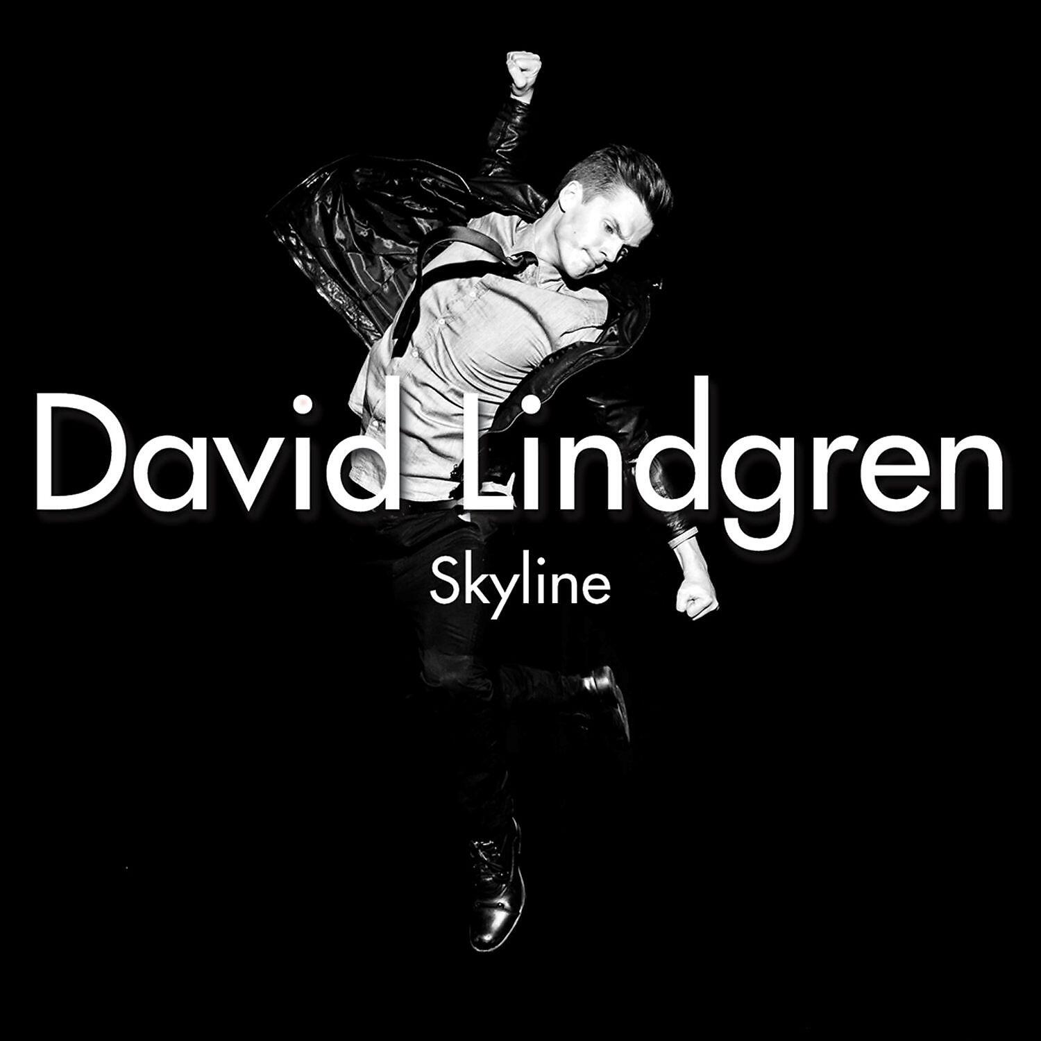 Релиз Skyline [Acoustic Version] (Acoustic Version)