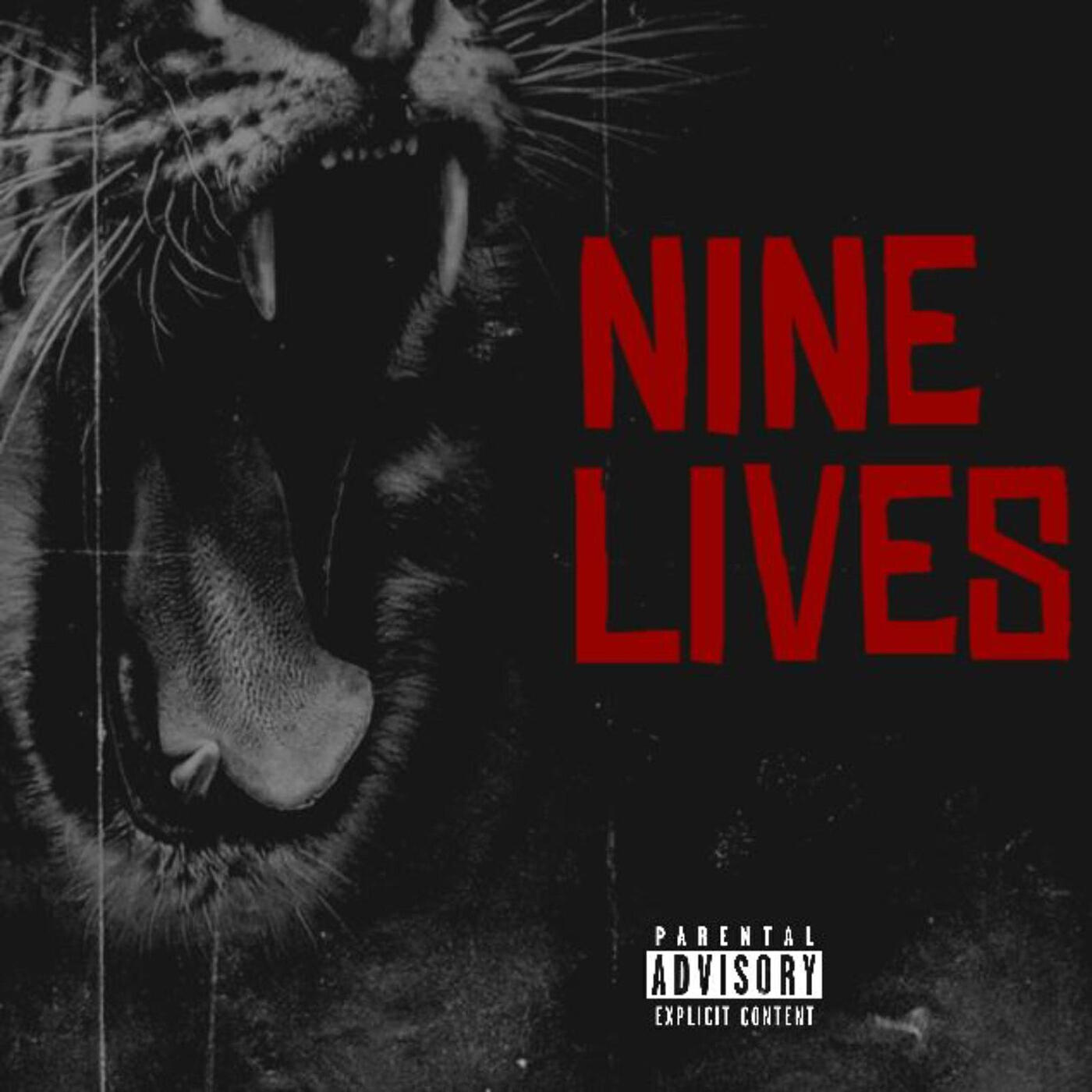 Постер альбома Nine Lives