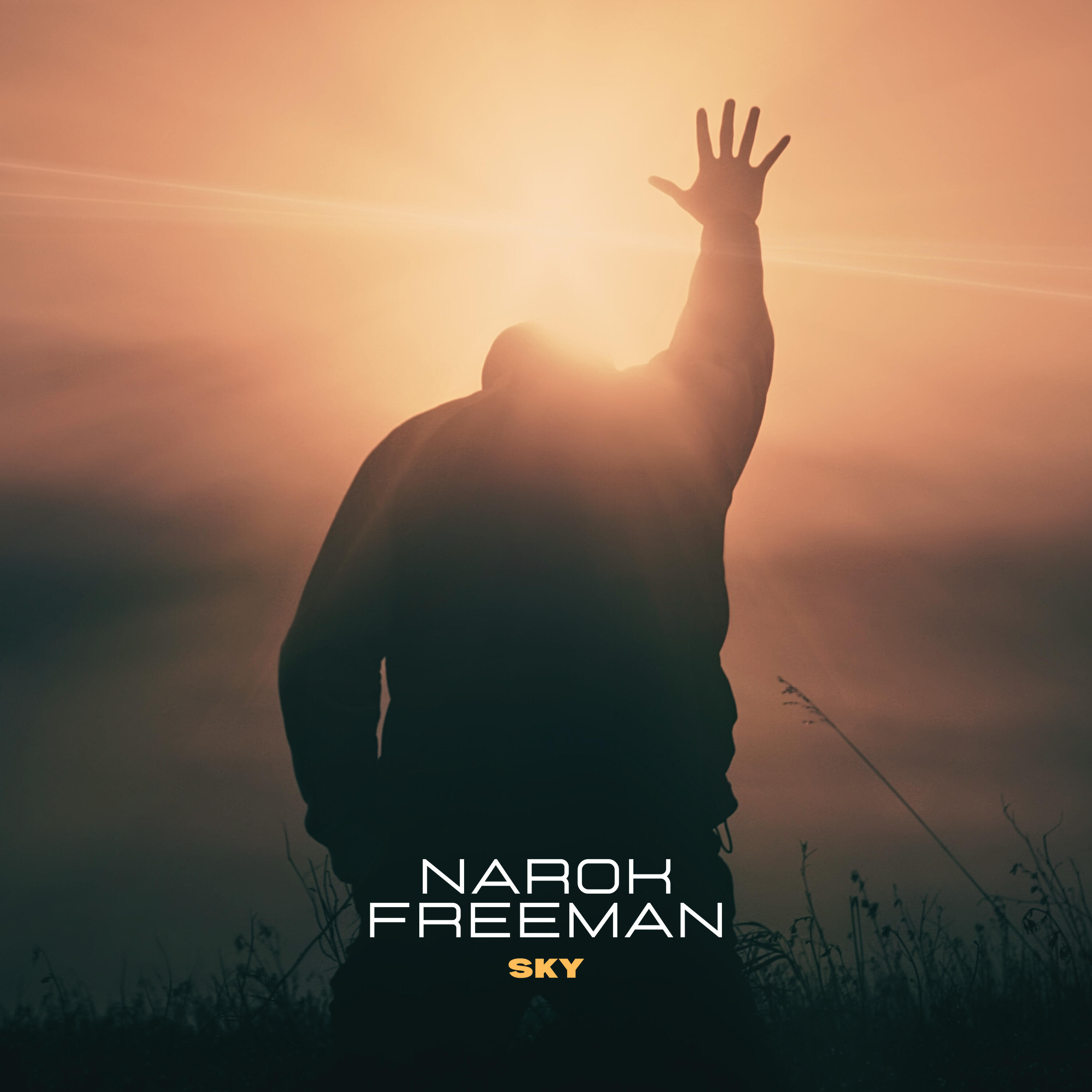 Релиз Sky
