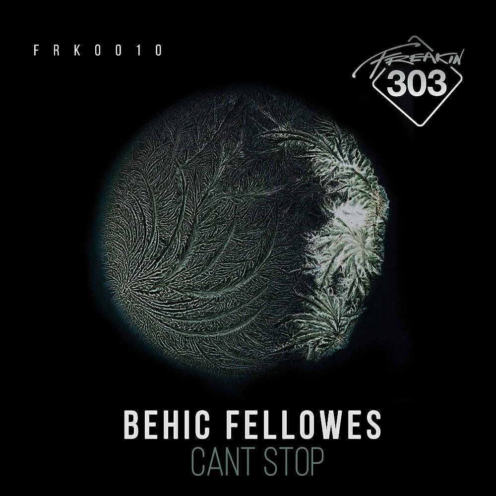 Behic Fellowes