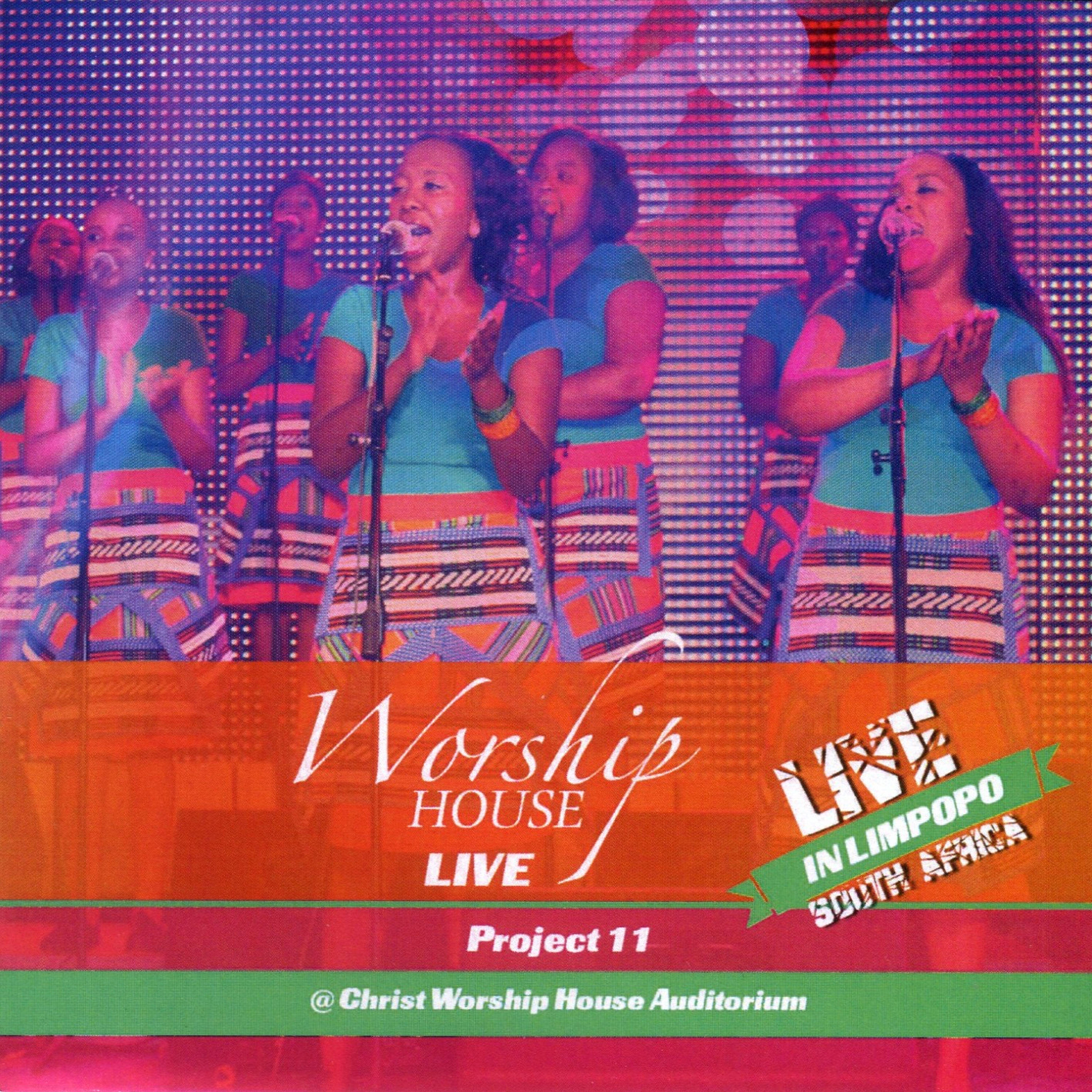 Релиз Project 11: Live in Limpopo, South Africa