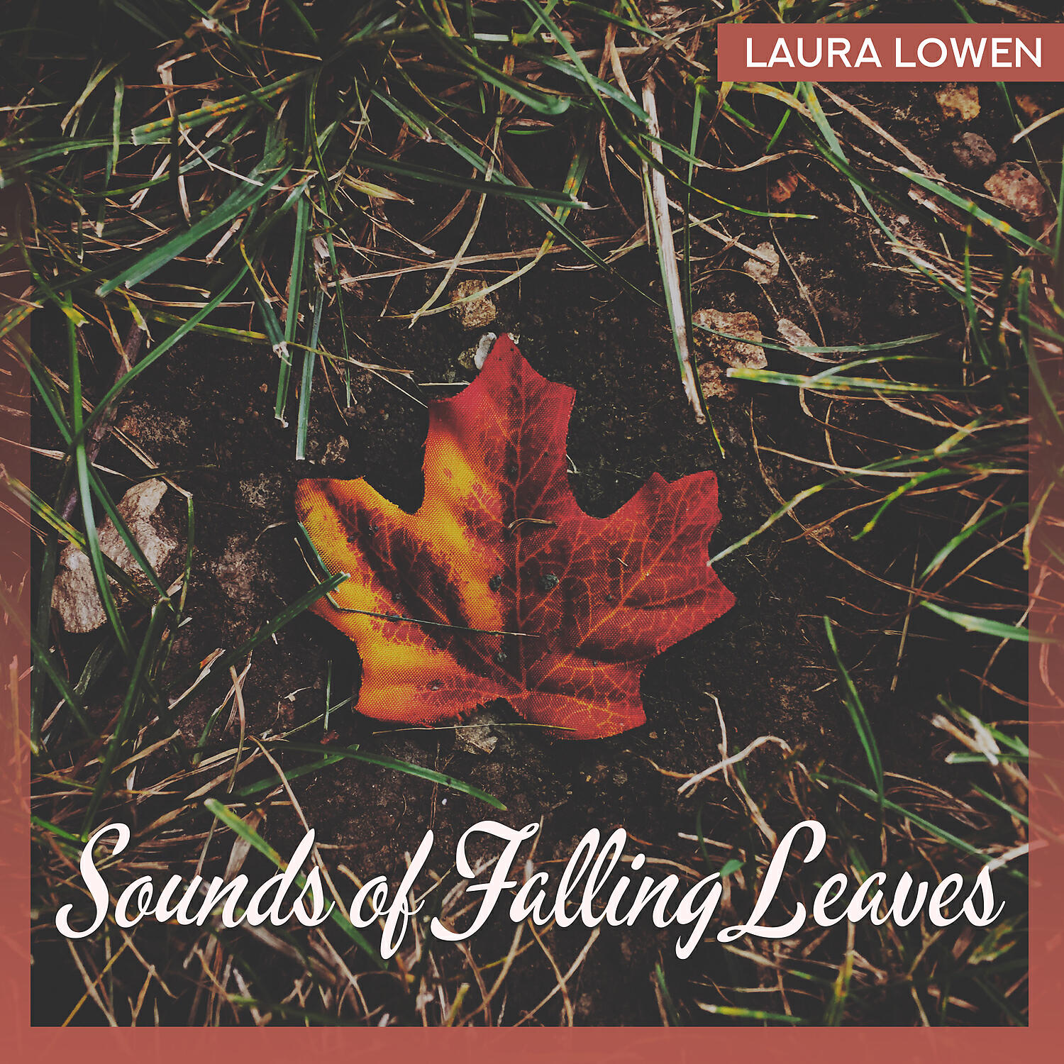 Релиз Sounds of Falling Leaves
