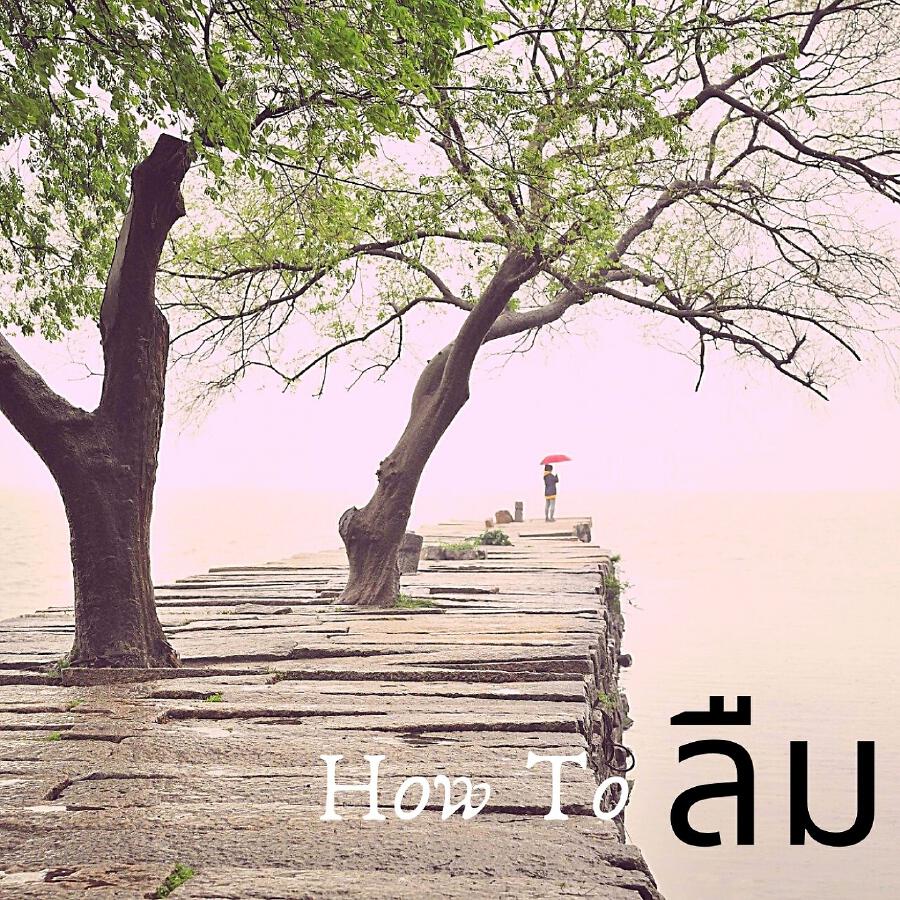 Релиз How To ลืม