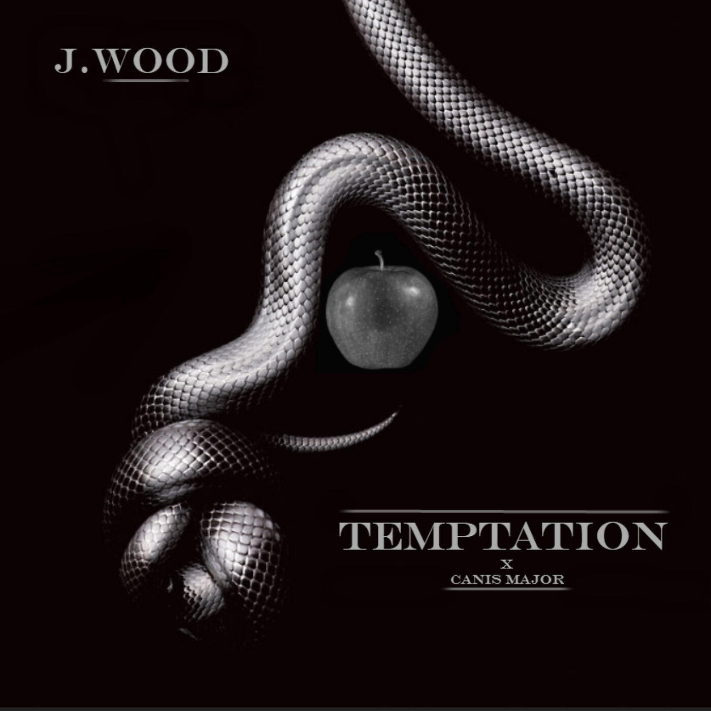 Релиз Temptation