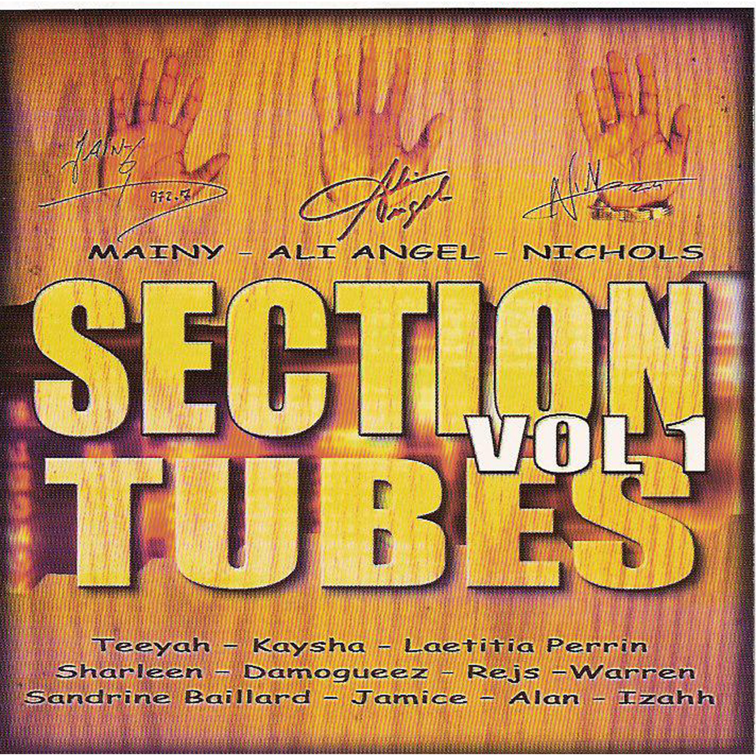 Релиз Section tubes zouk, Vol. 1