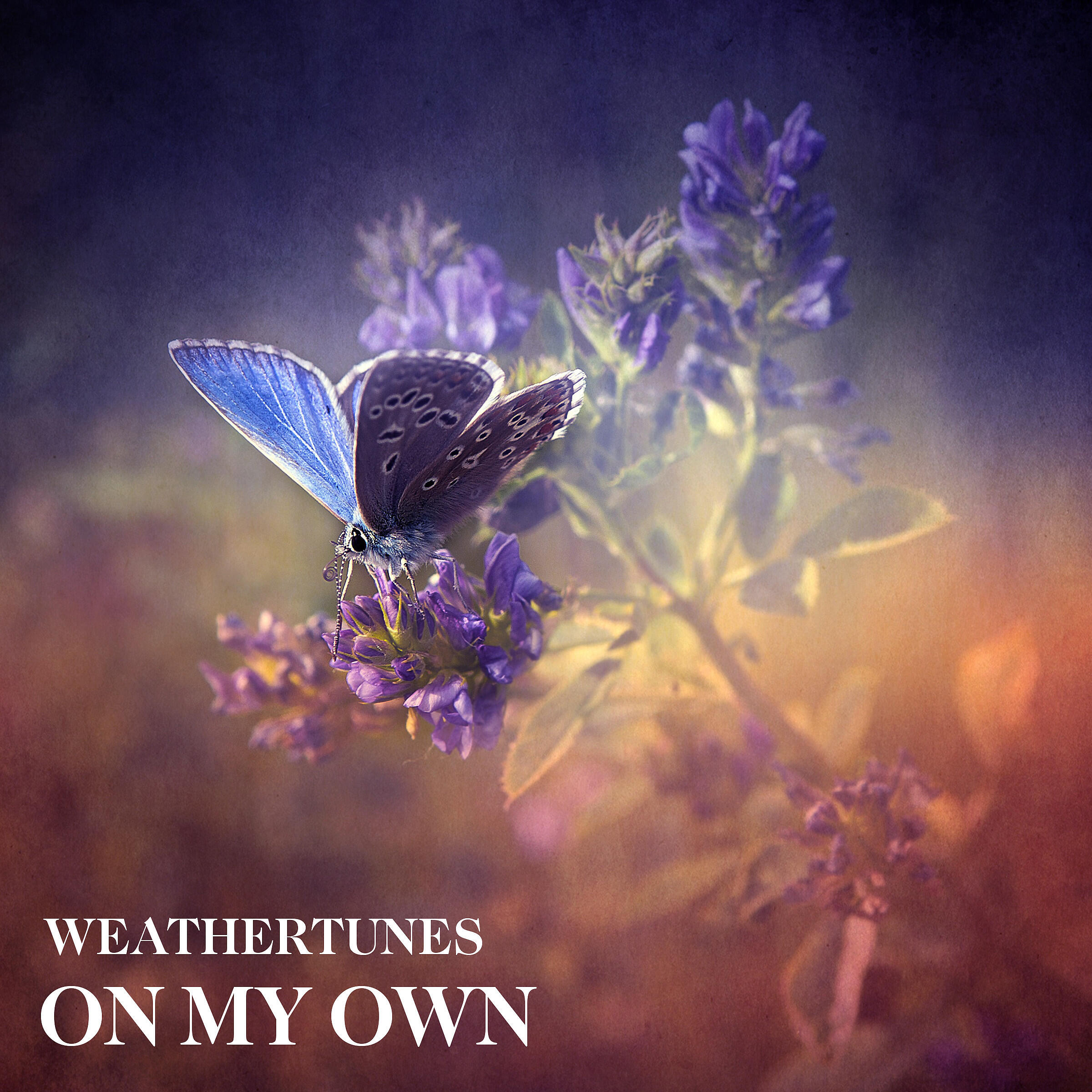 Скачать песню Weathertunes - On My Own бесплатно в MP3 для Android и iOS