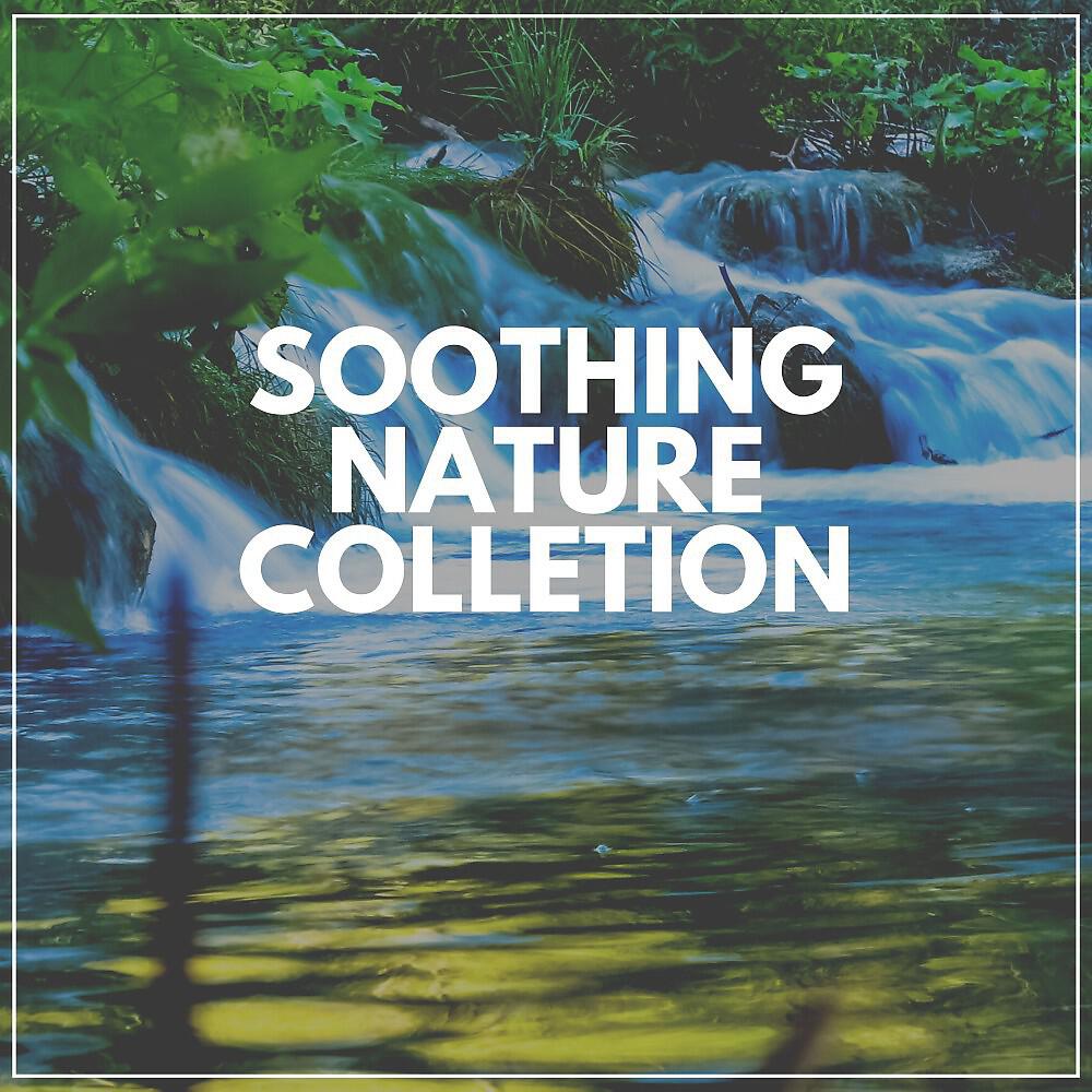 Релиз Soothing Nature Collection