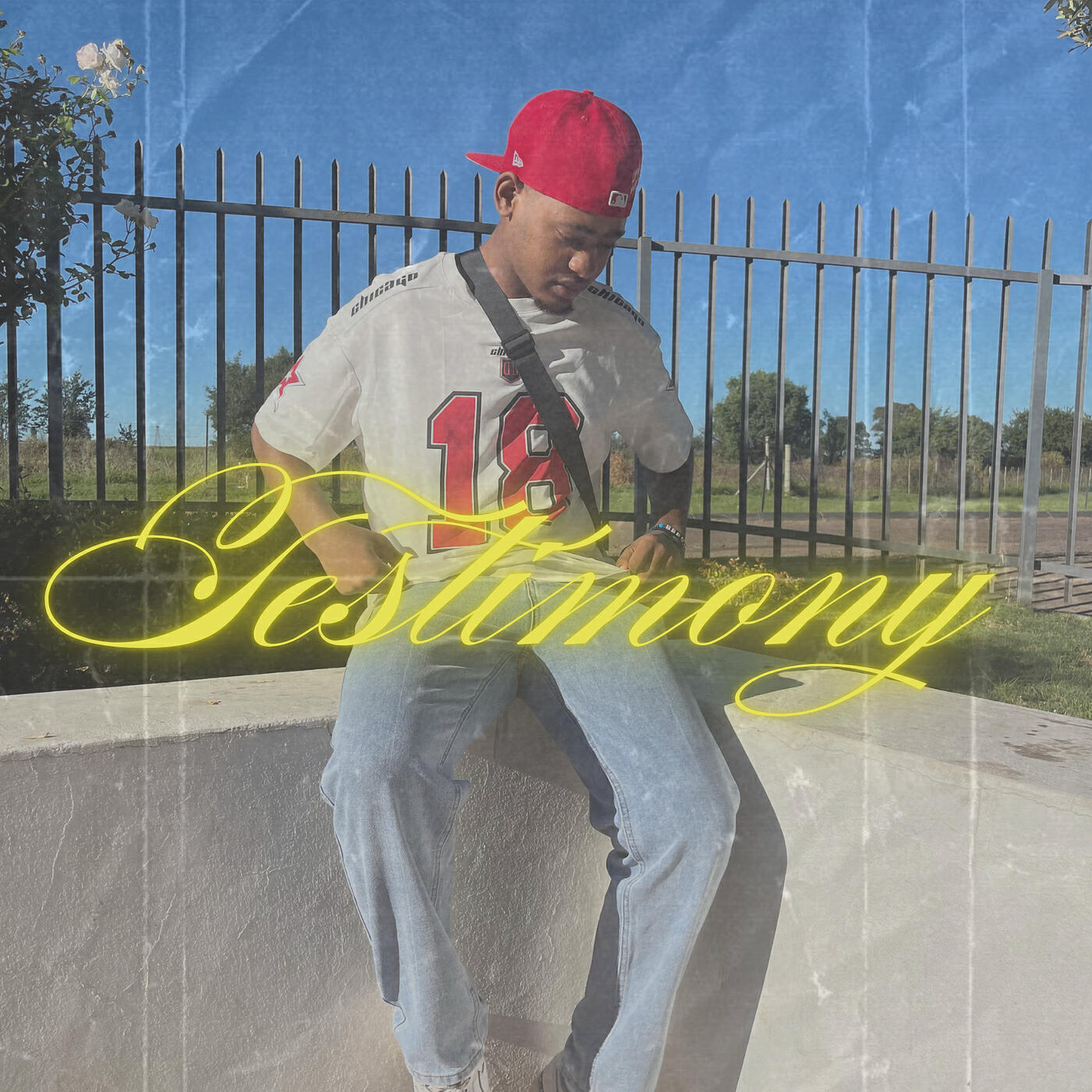 Релиз Testimony