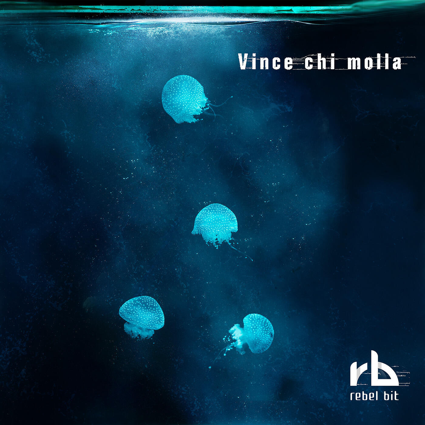 Релиз Vince chi molla