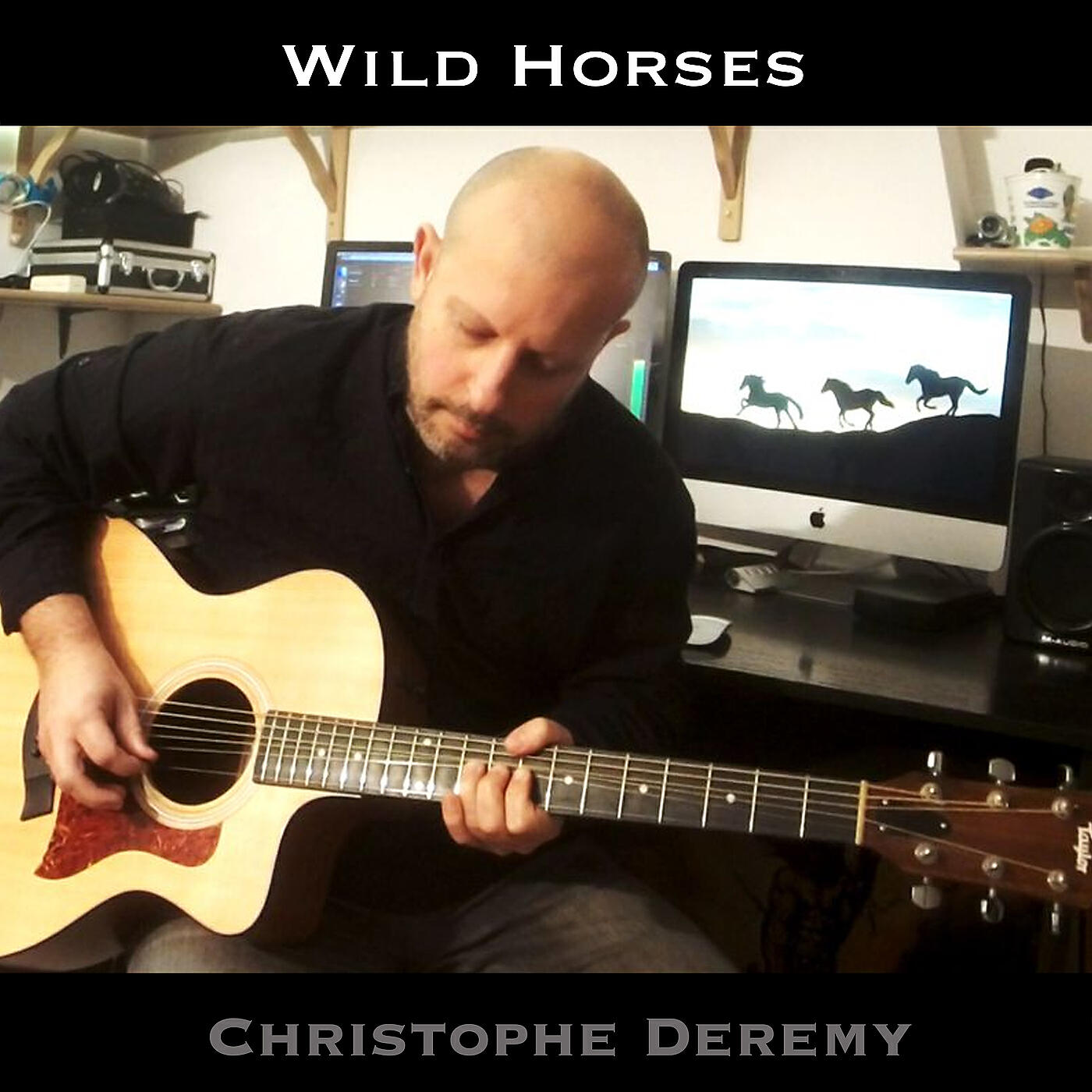 Релиз Wild Horses