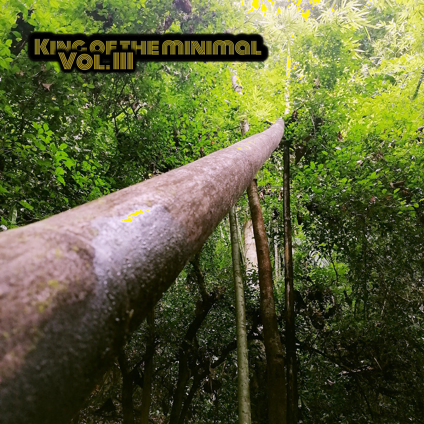 Релиз King of the Minimal, Vol. III