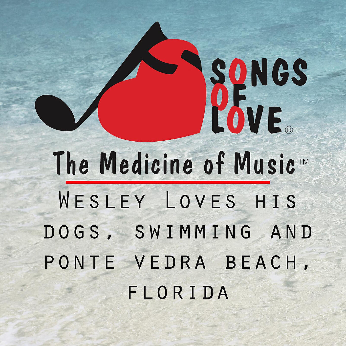 Релиз Wesley Loves His Dogs, Swimming and Ponte Vedra Beach, Florida