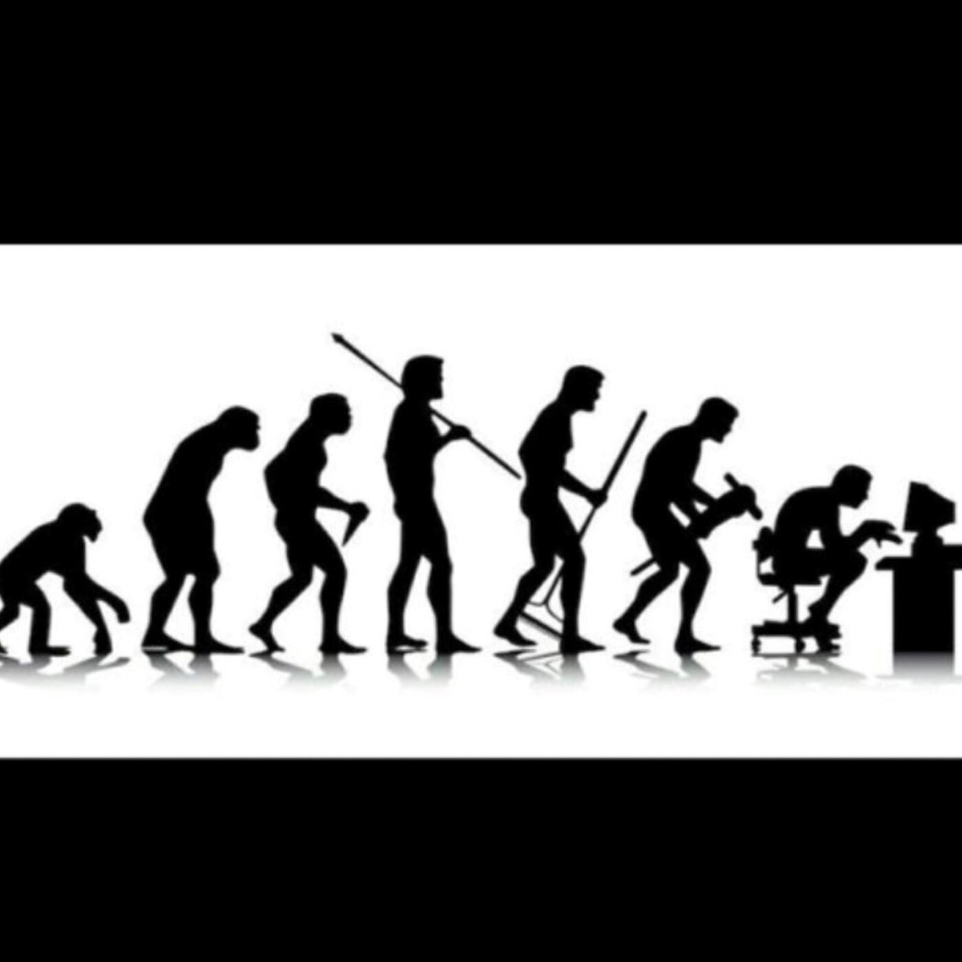 Релиз Evolution