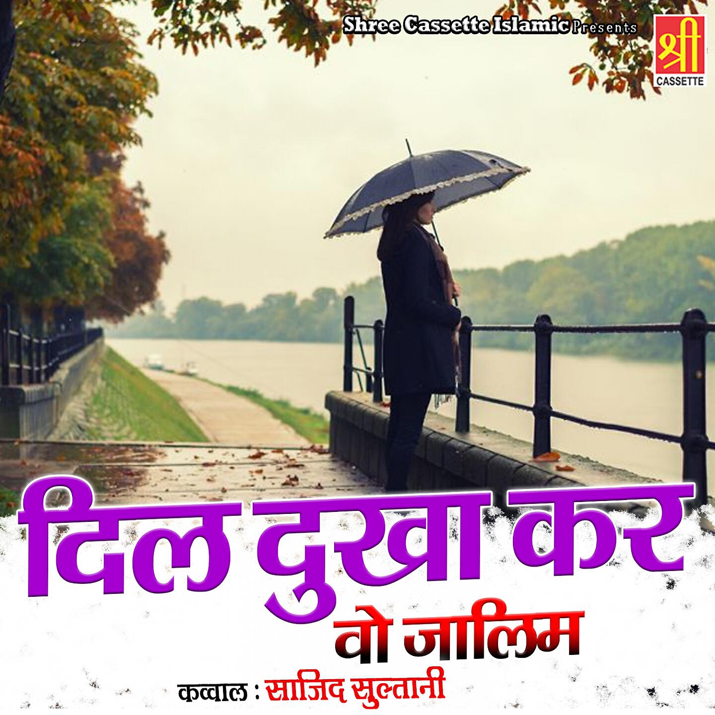 Релиз Dil Dukha Kar Wo Zalim