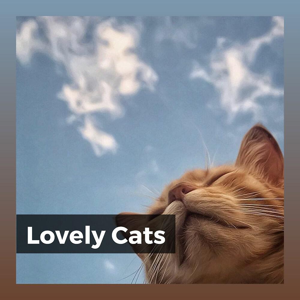 Постер альбома Lovely Cats