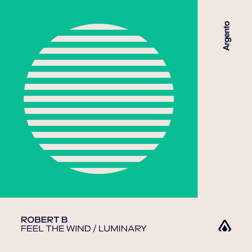 Релиз Feel the Wind / Luminary