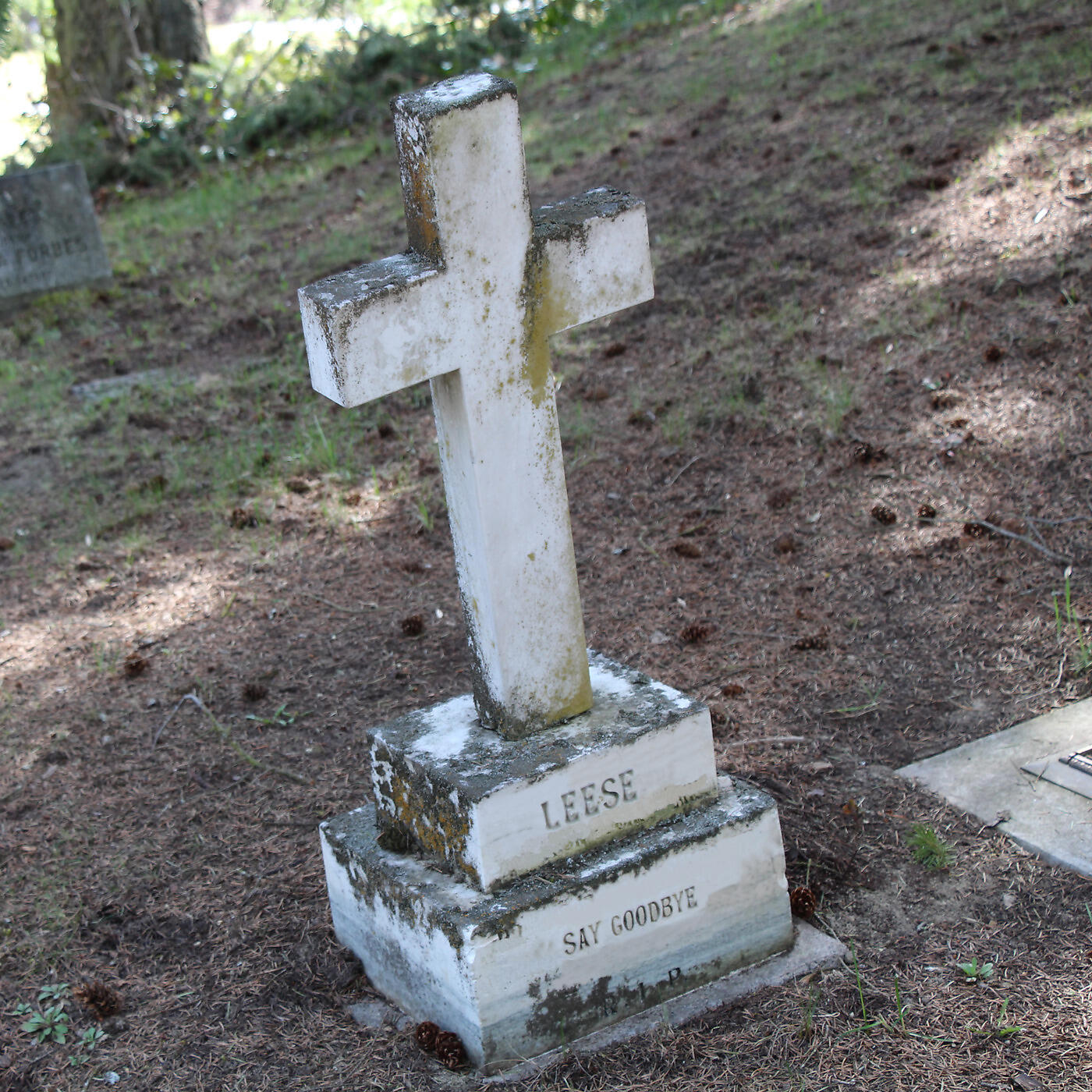 Релиз Say Goodbye