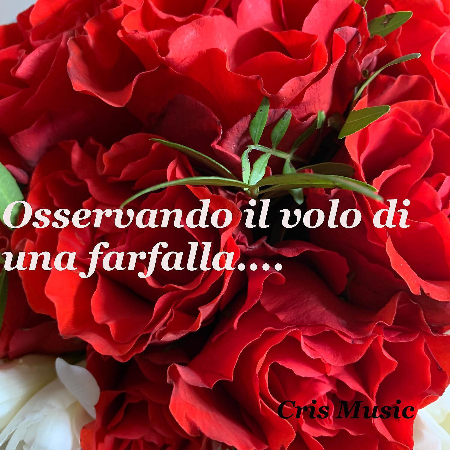 Fulvio Reversi