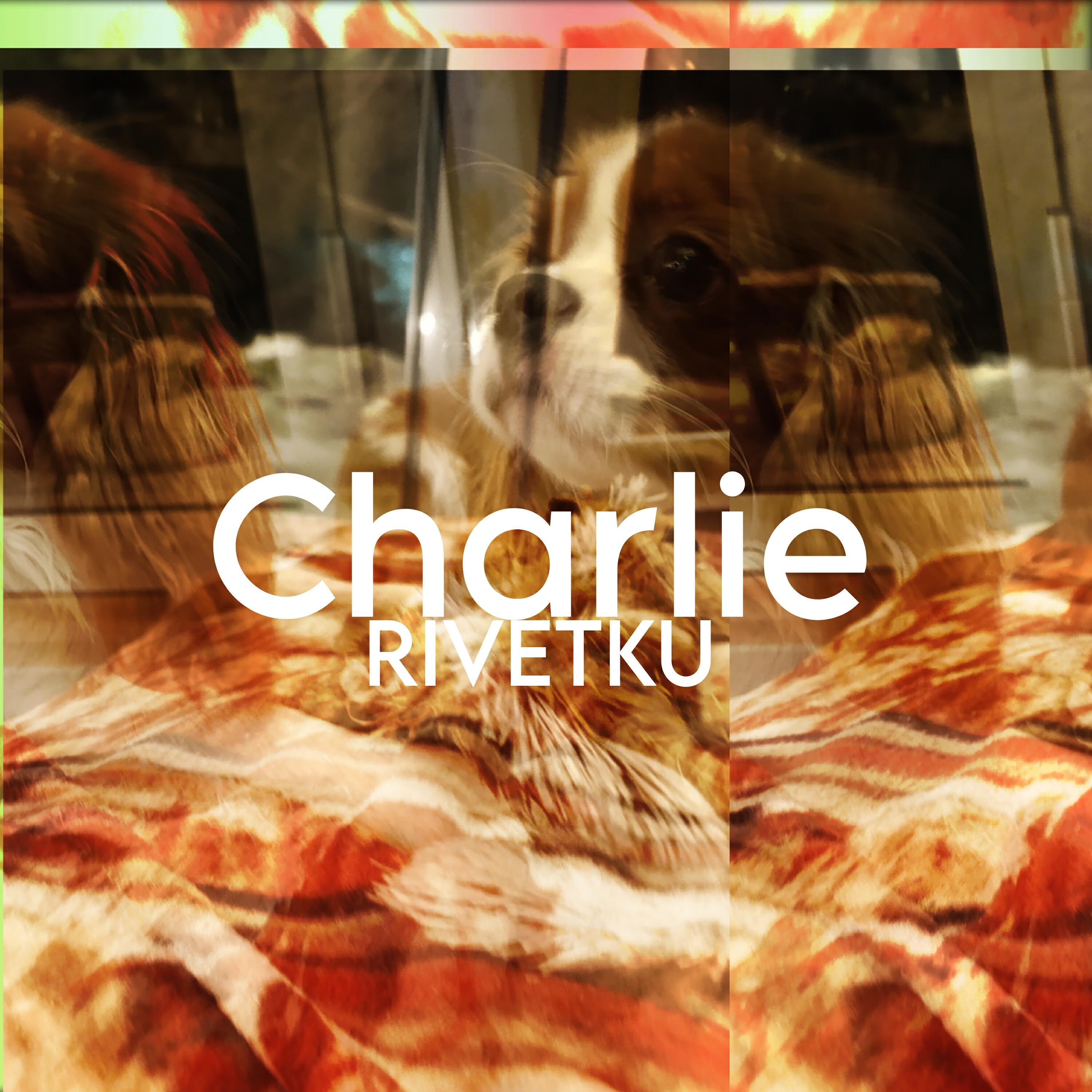 Релиз Charlie