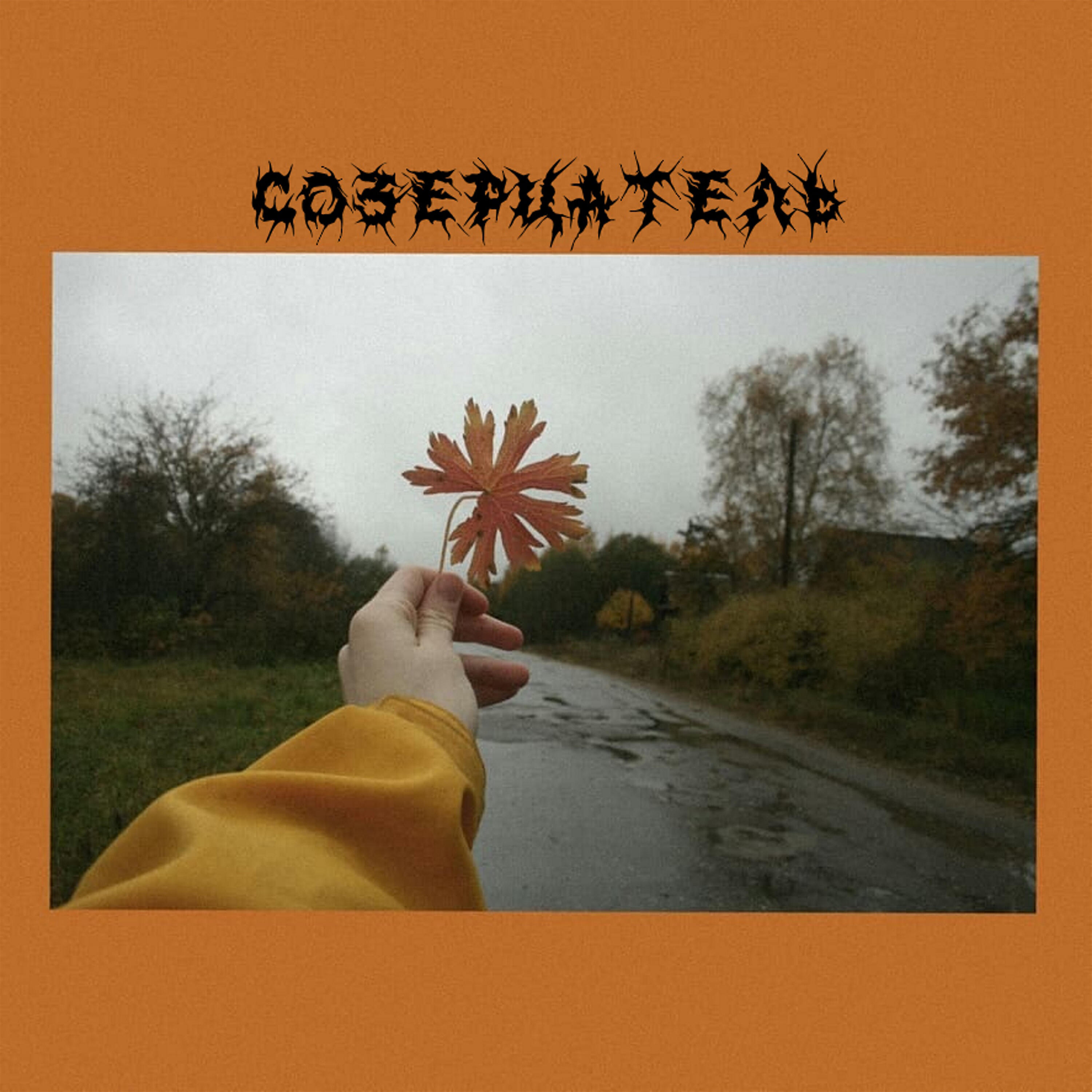 Релиз Созерцатель