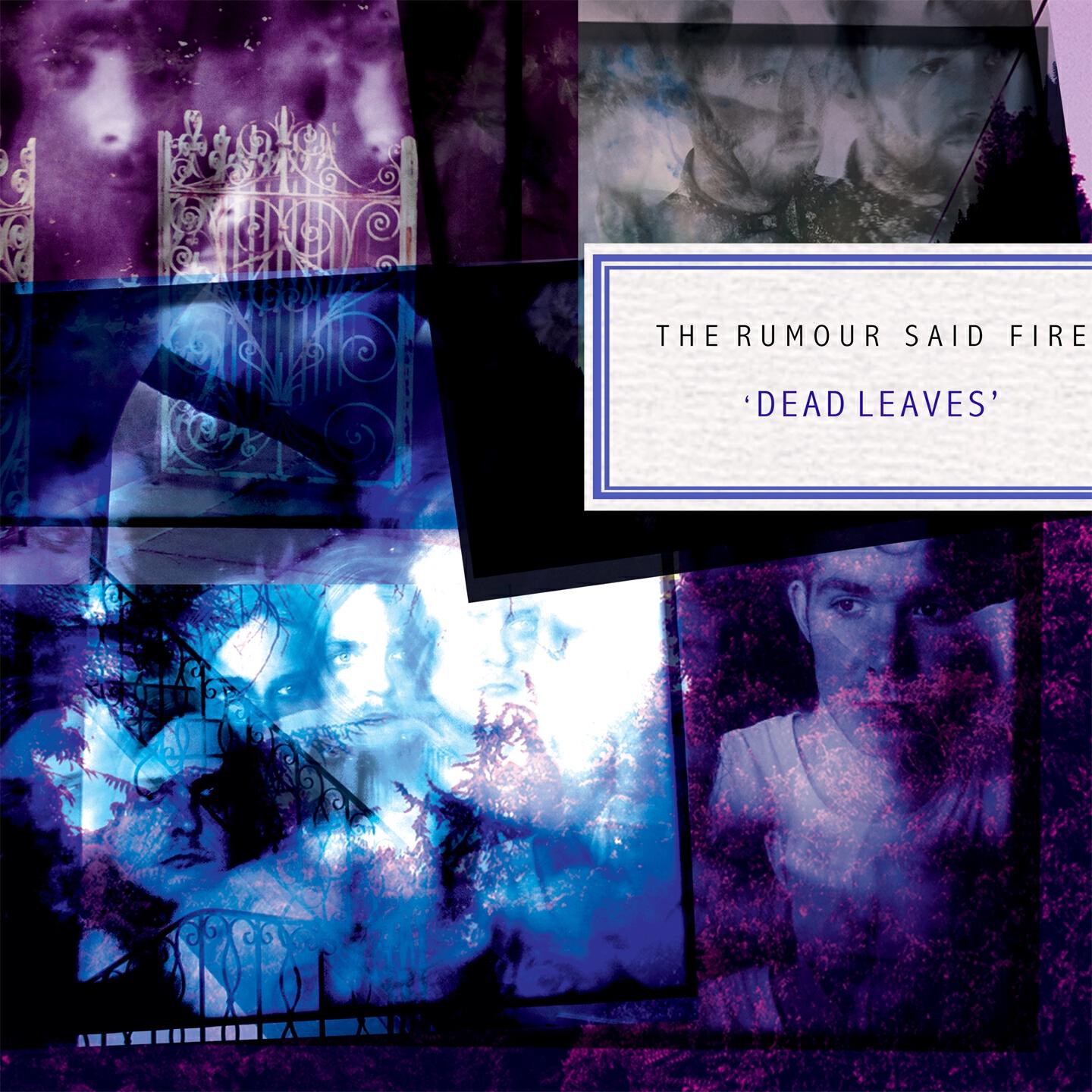 Релиз Dead Leaves