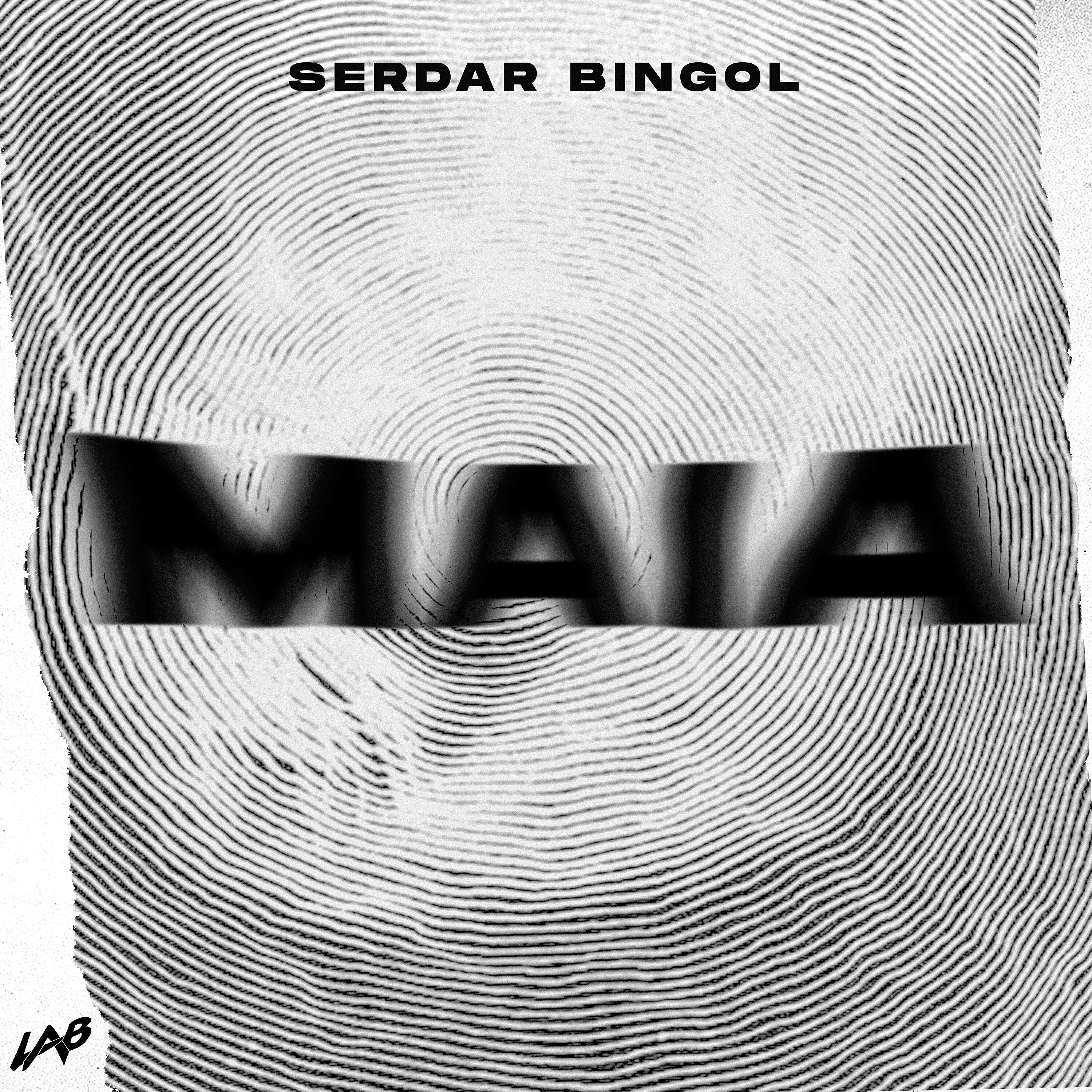 Постер альбома Maia