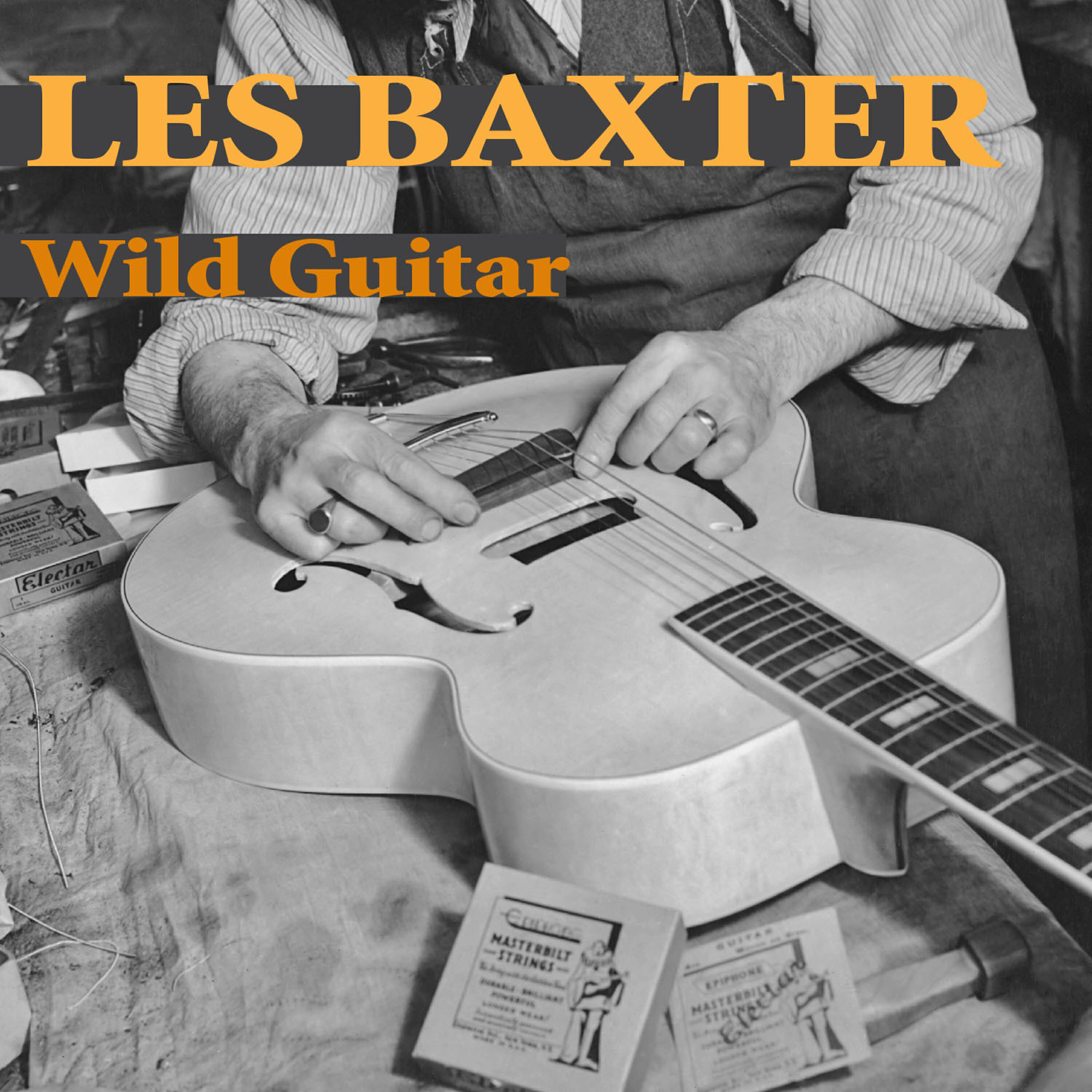 Релиз Wild Guitars
