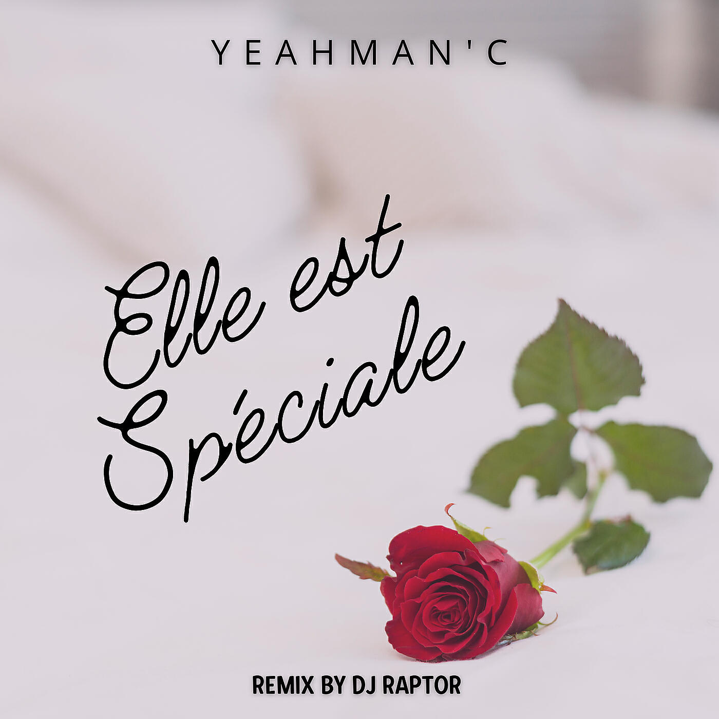 Релиз Elle est spéciale (Dj Raptor Remix)