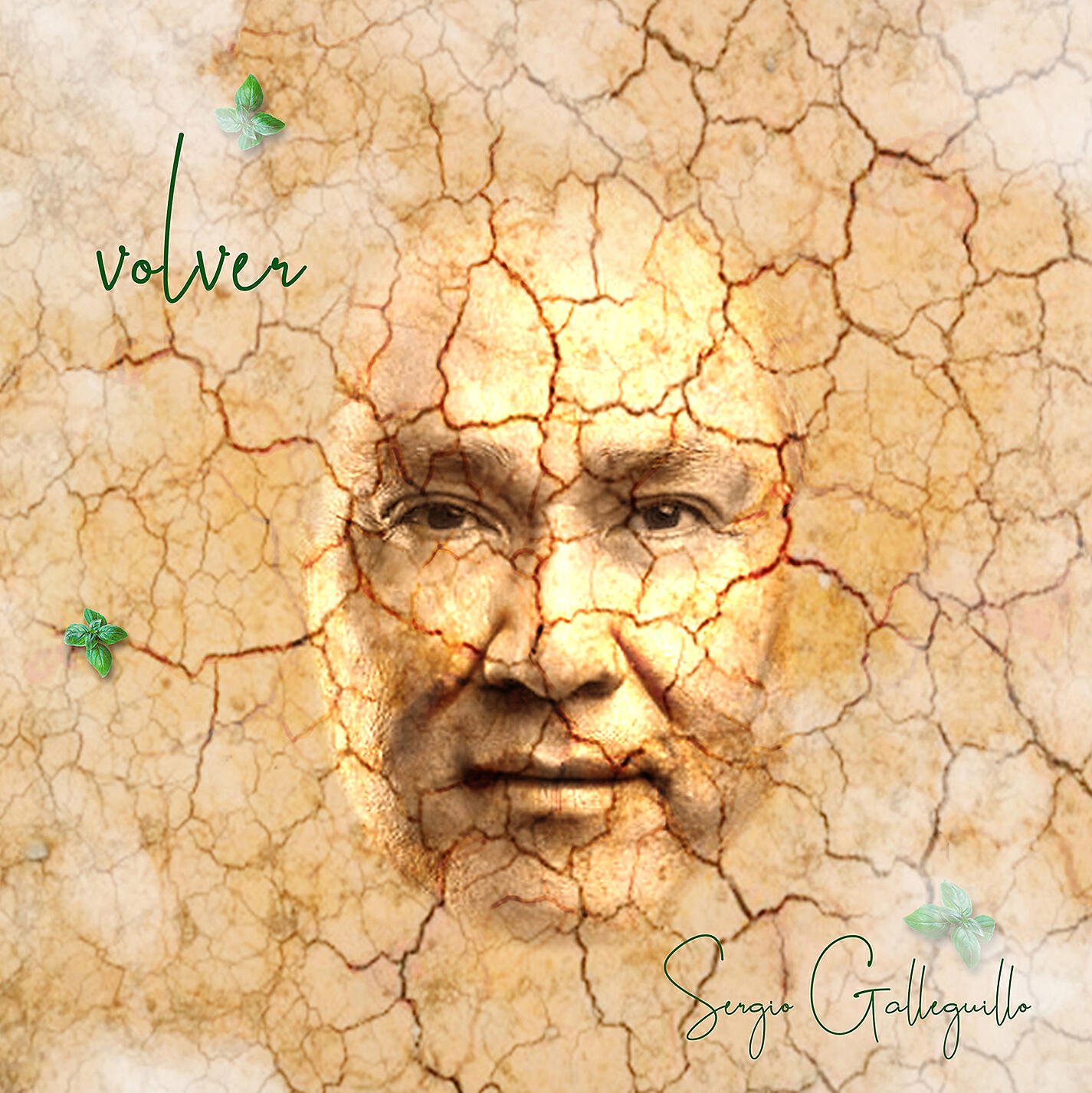 Релиз Volver