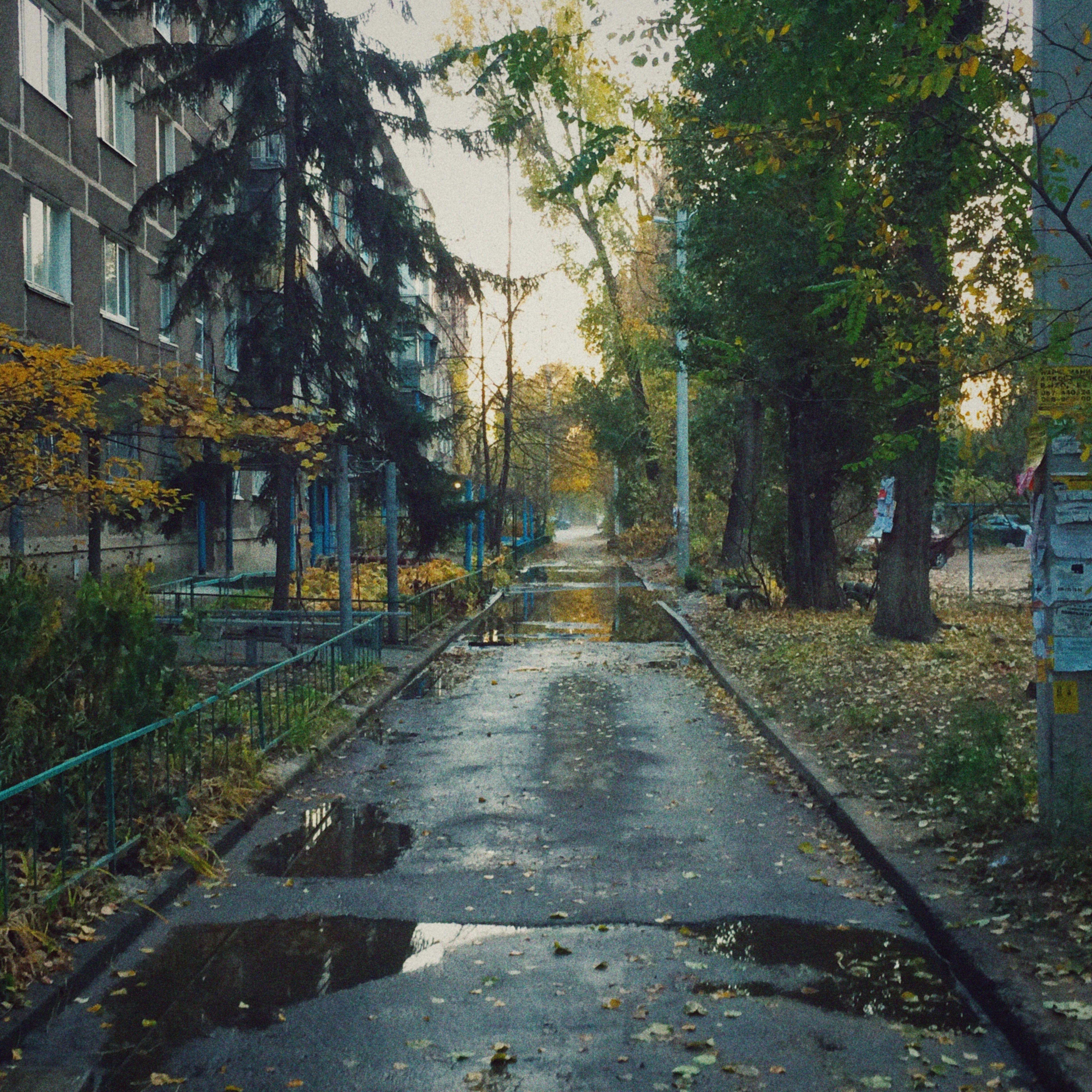 Релиз Дома