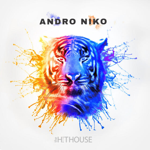 Релиз Andro Niko