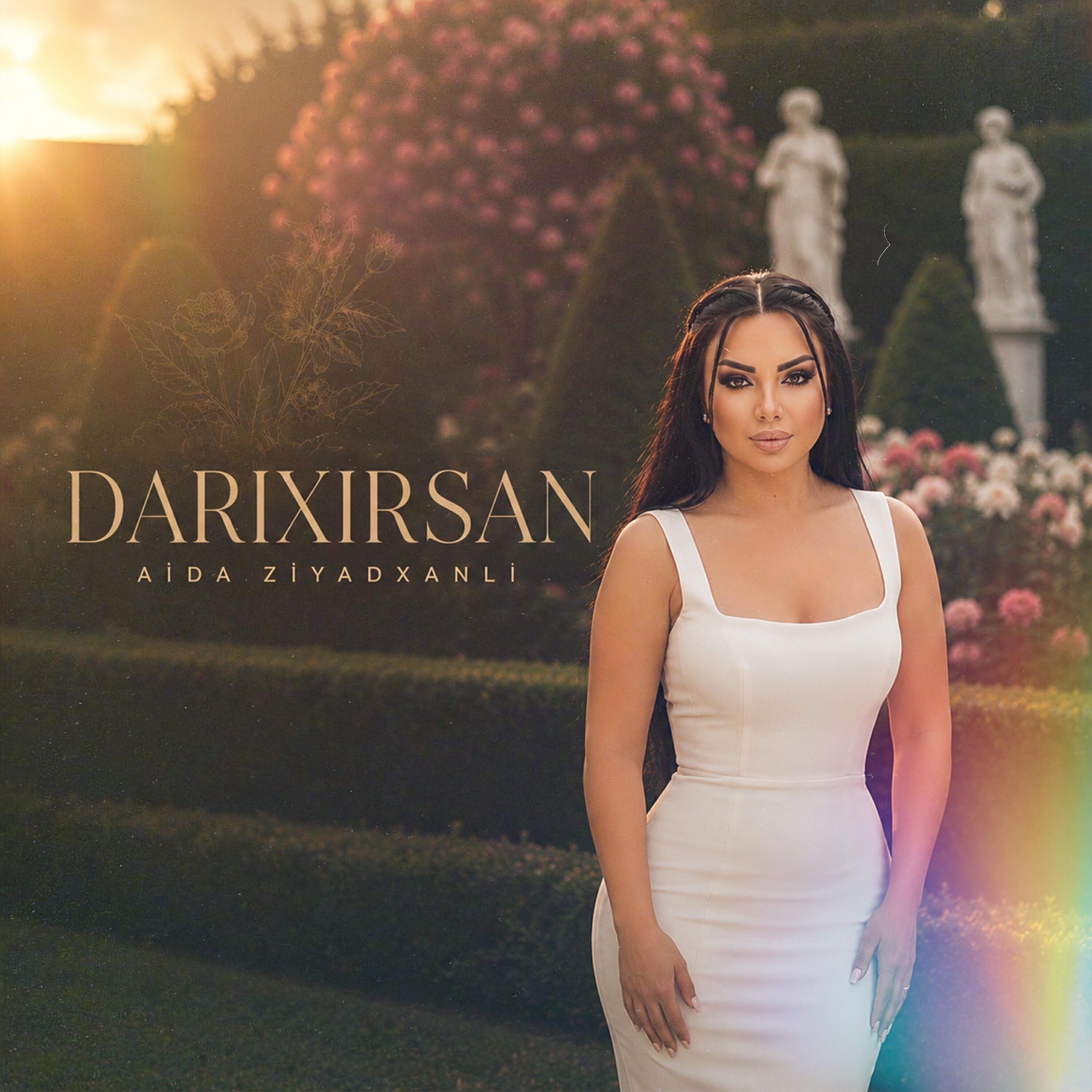 Релиз Darıxırsan