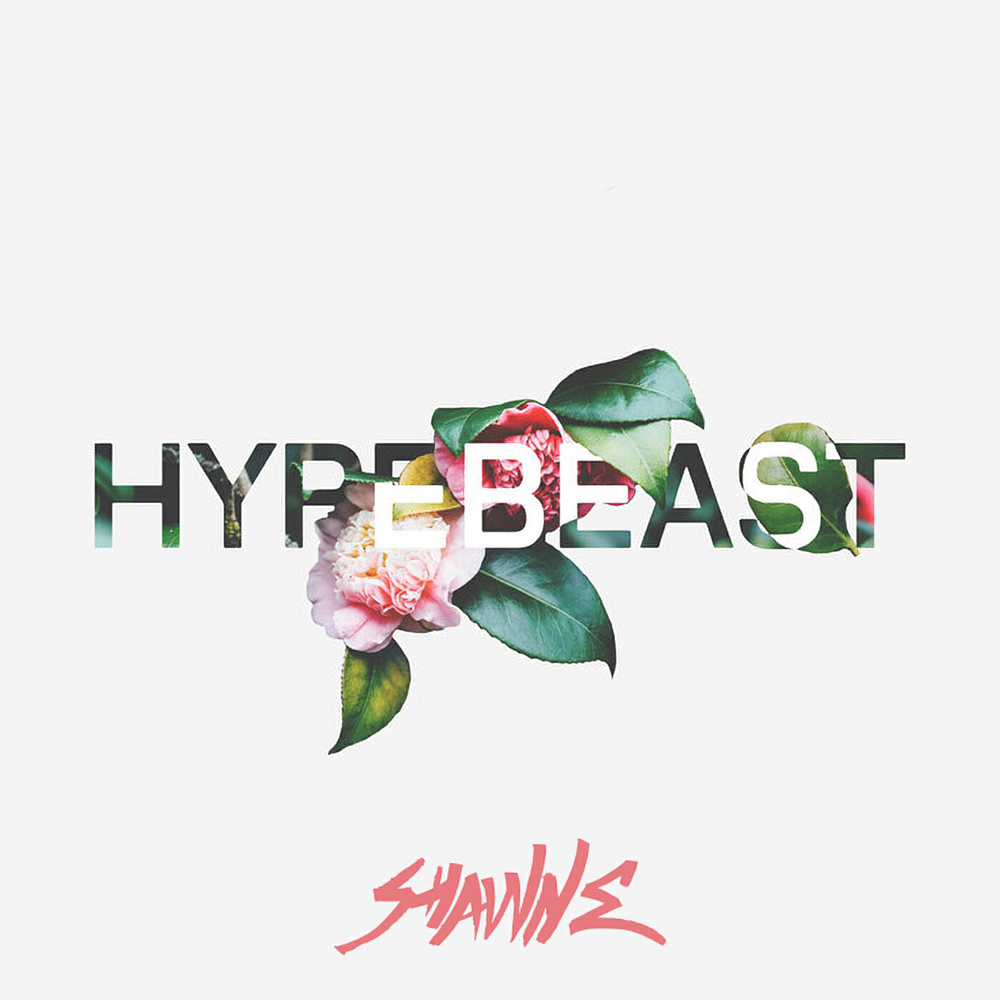 Релиз Hypebeast