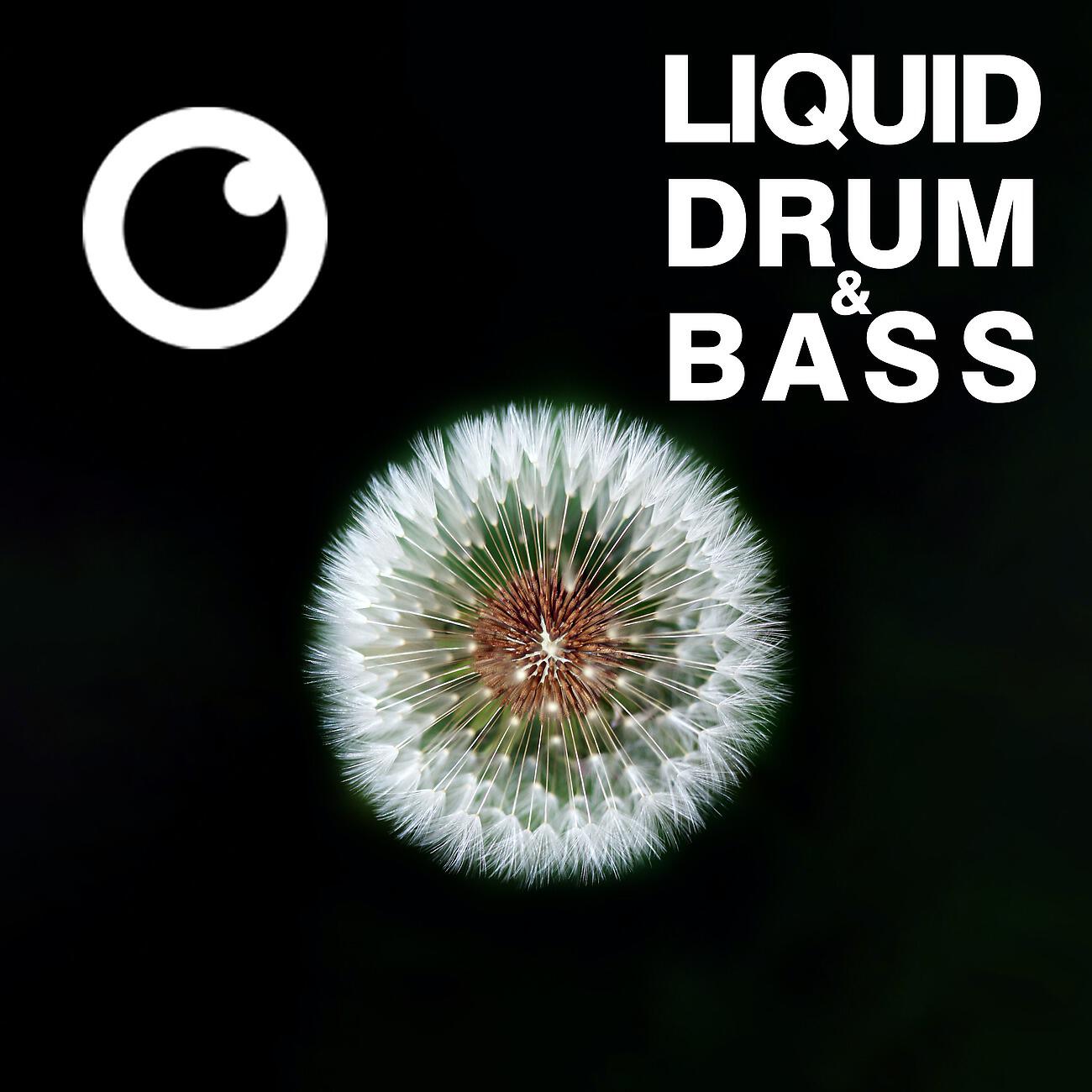 Релиз Liquid Drum & Bass Sessions #51