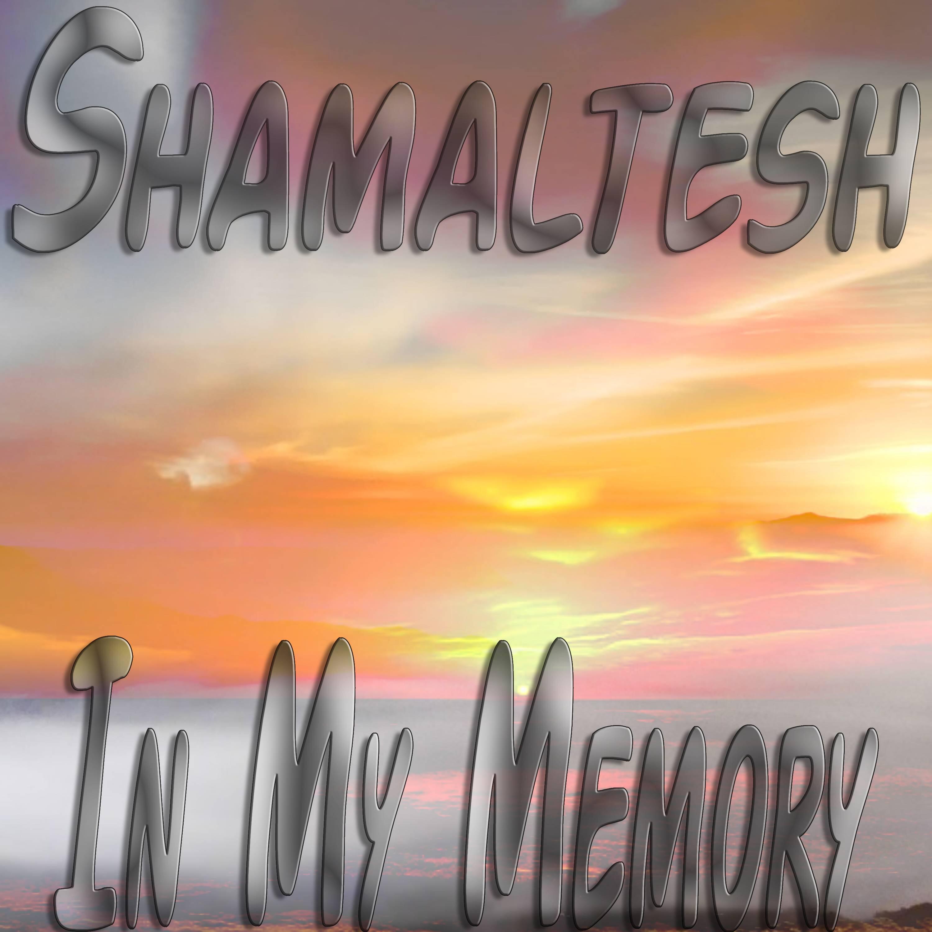 Релиз In My Memory