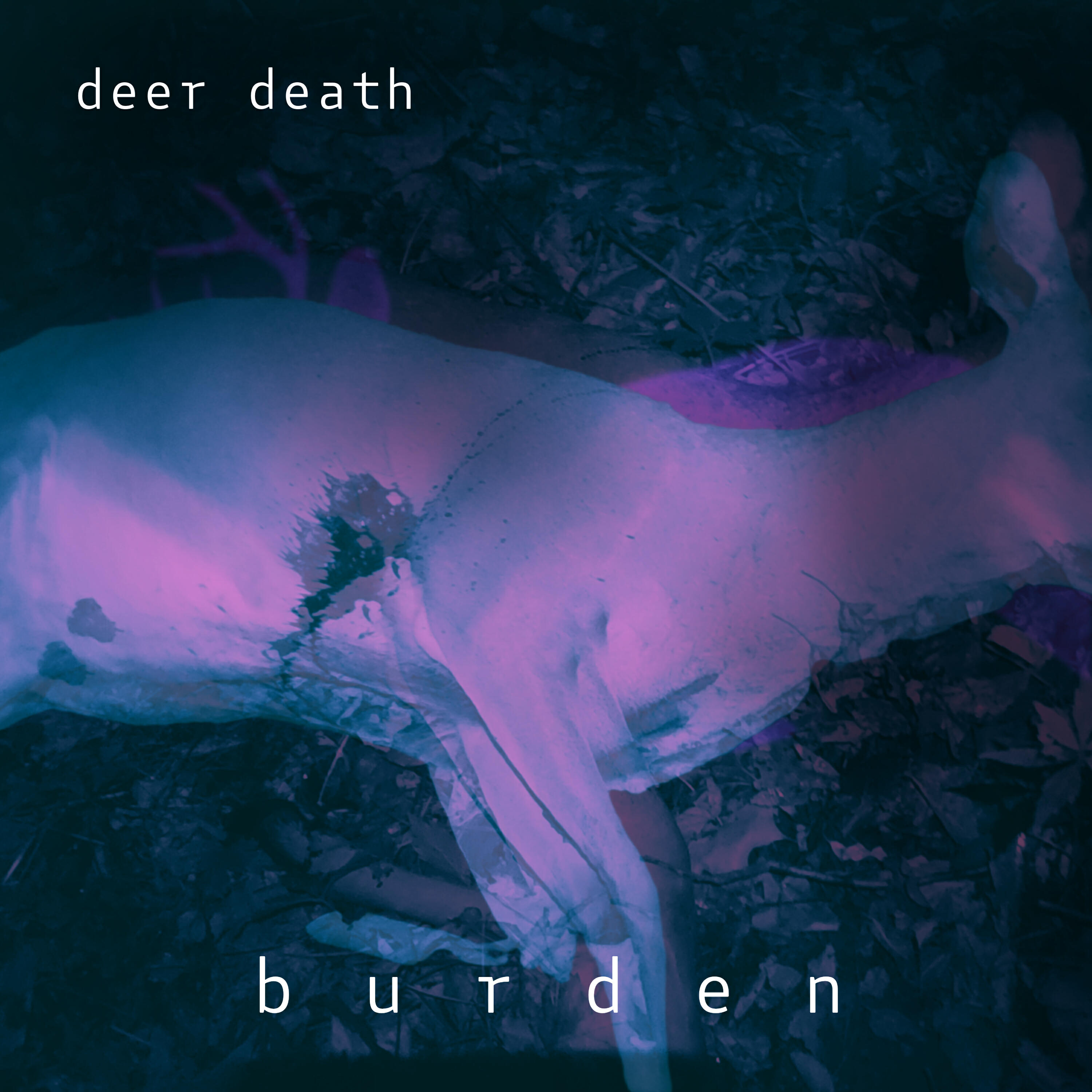 Релиз burden