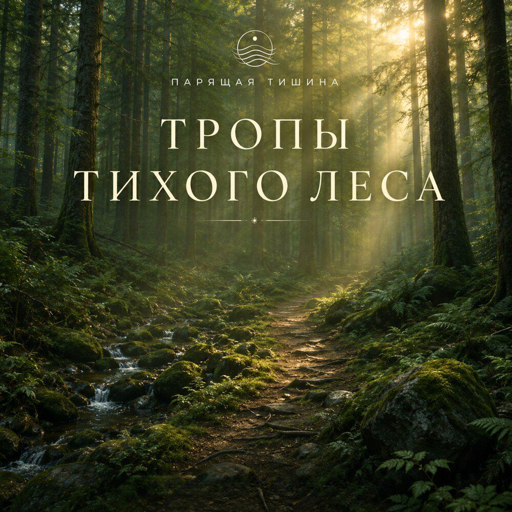 Релиз Тропы тихого леса