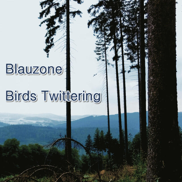 Релиз Birds Twittering