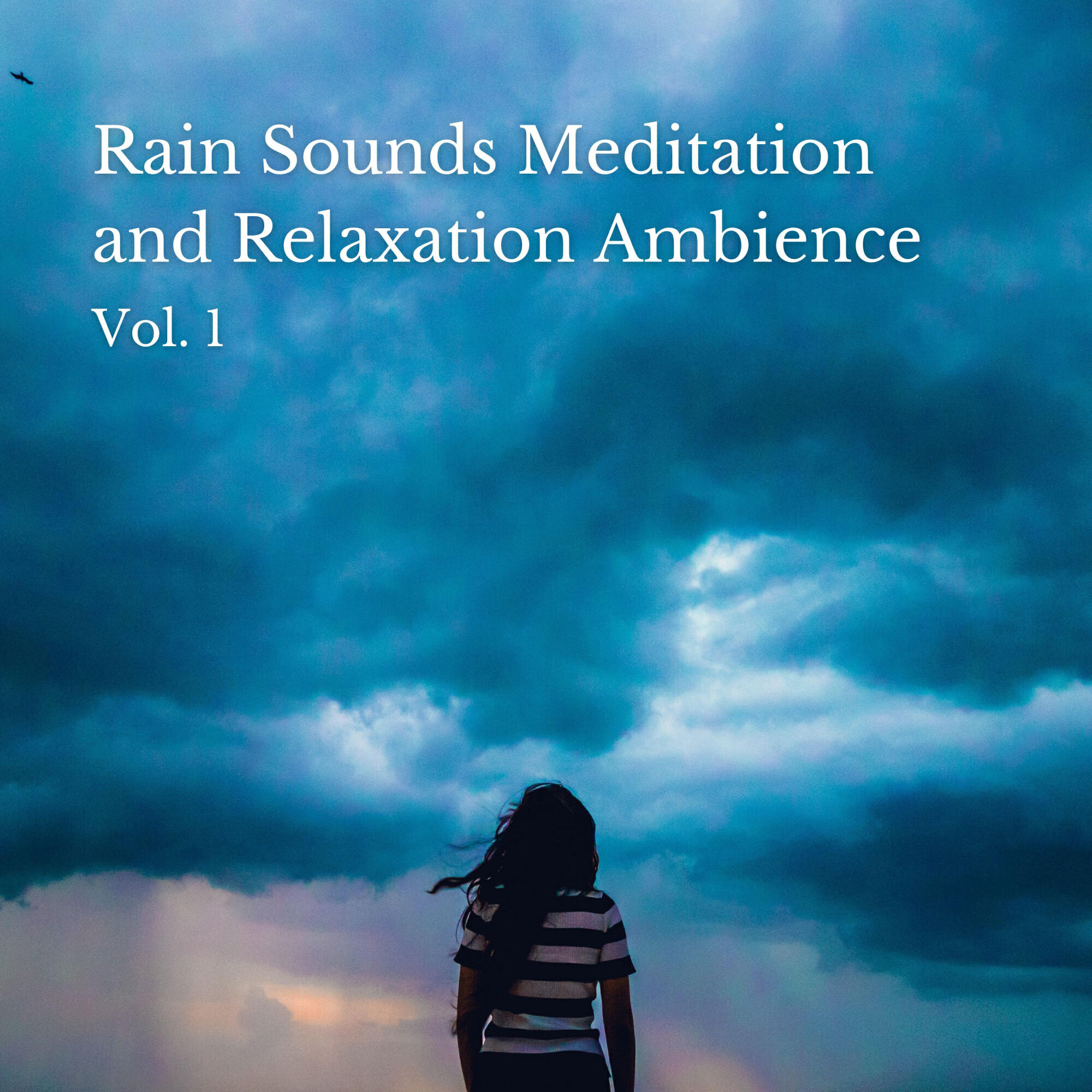 Релиз Rain Sounds Meditation and Relaxation Ambience Vol. 1