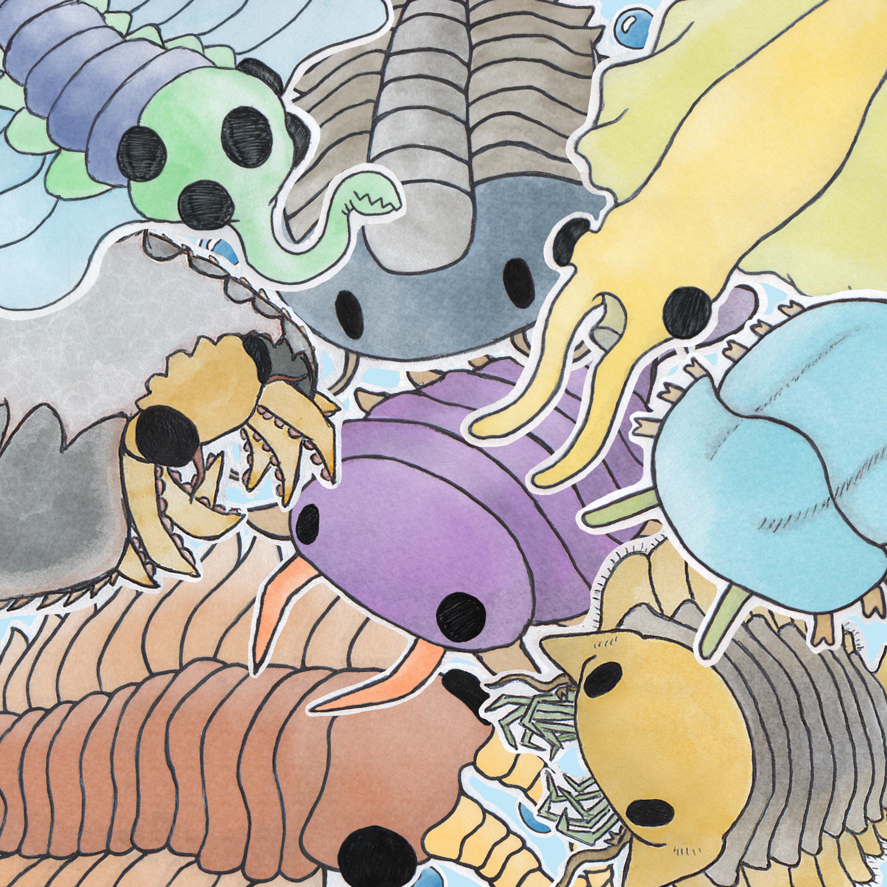 Релиз cambrian animals !!